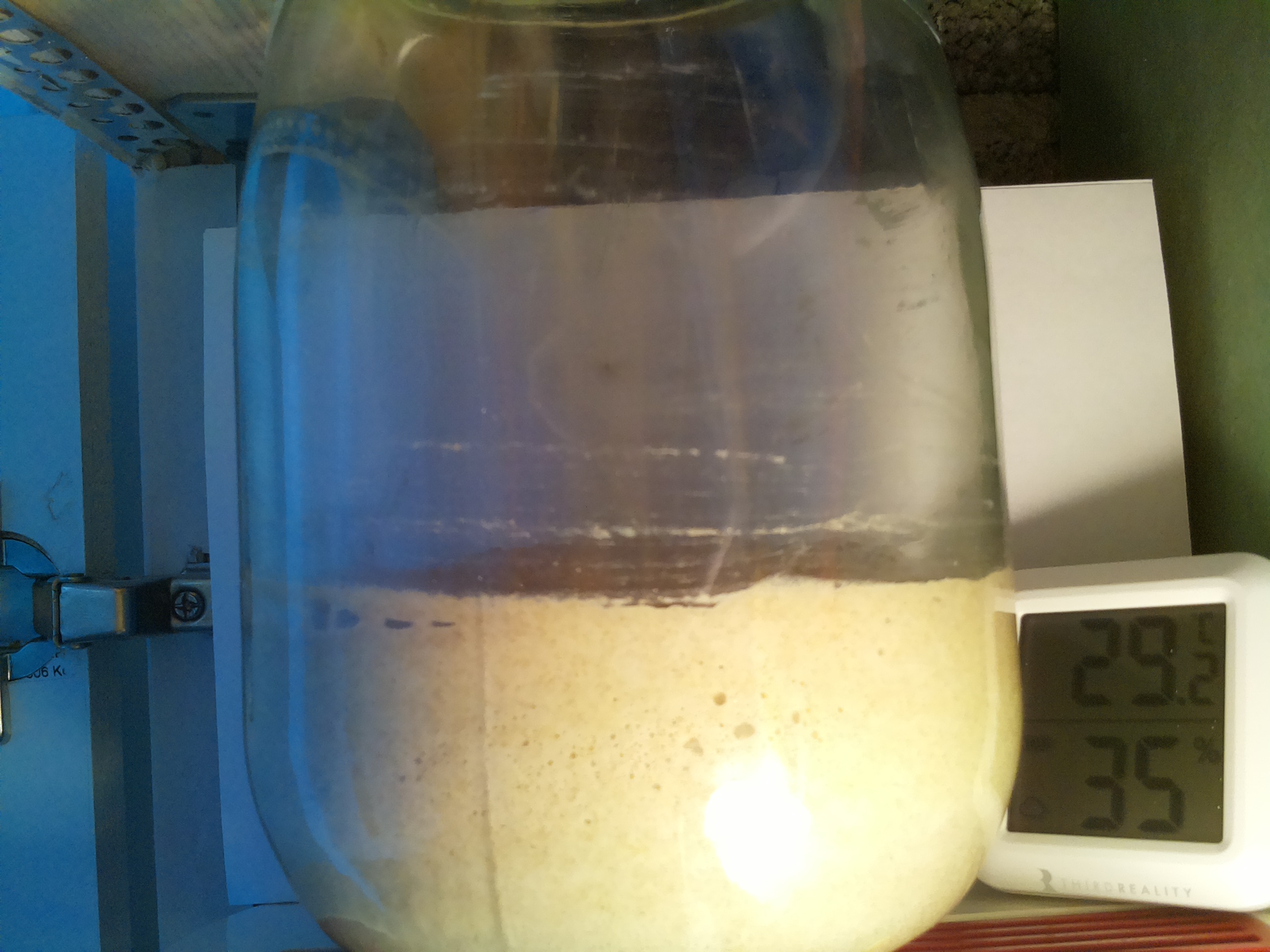 Bild vom Sauerteig