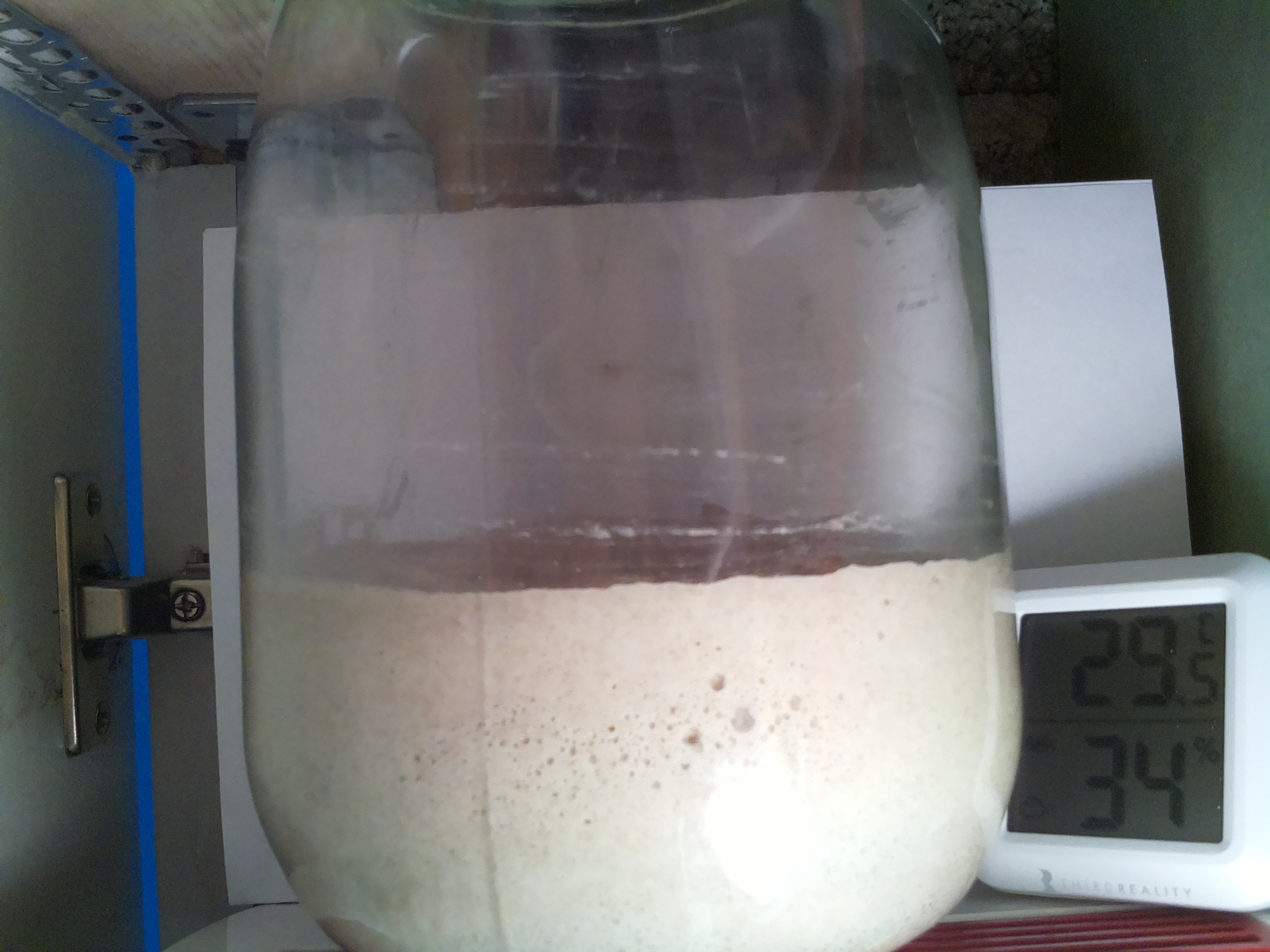 Bild vom Sauerteig