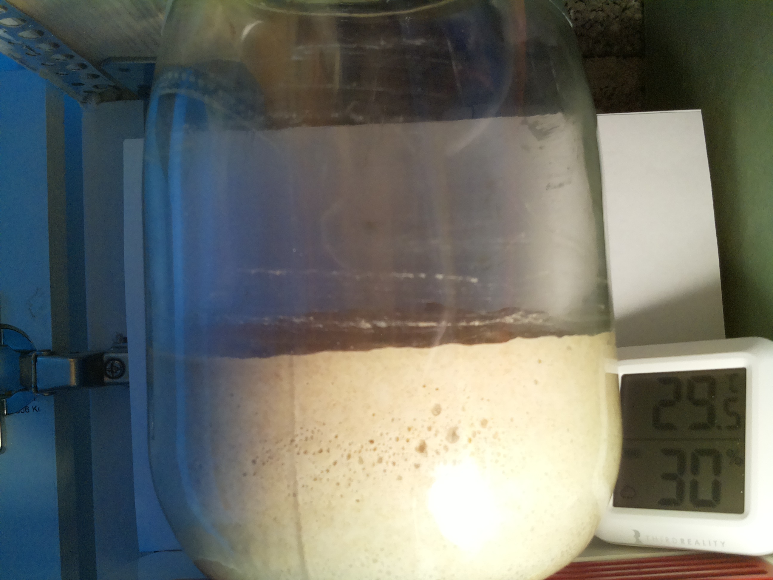 Bild vom Sauerteig