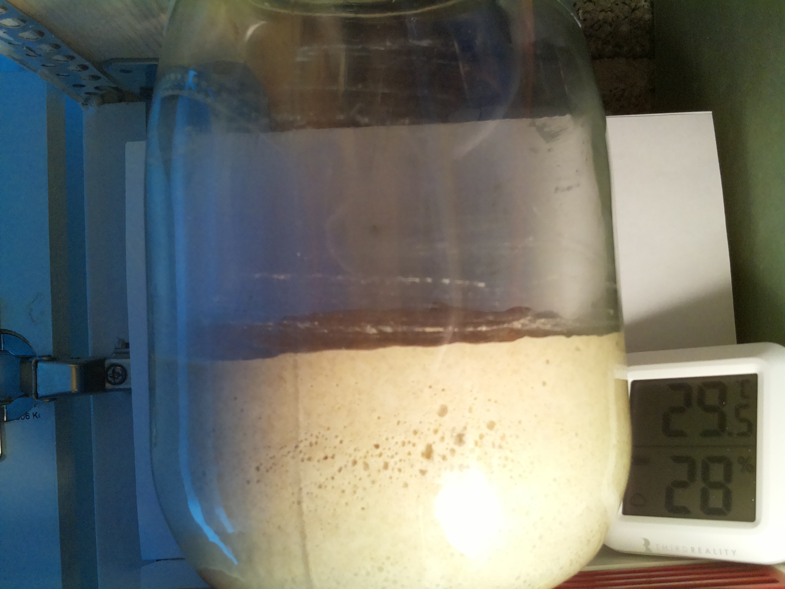 Bild vom Sauerteig