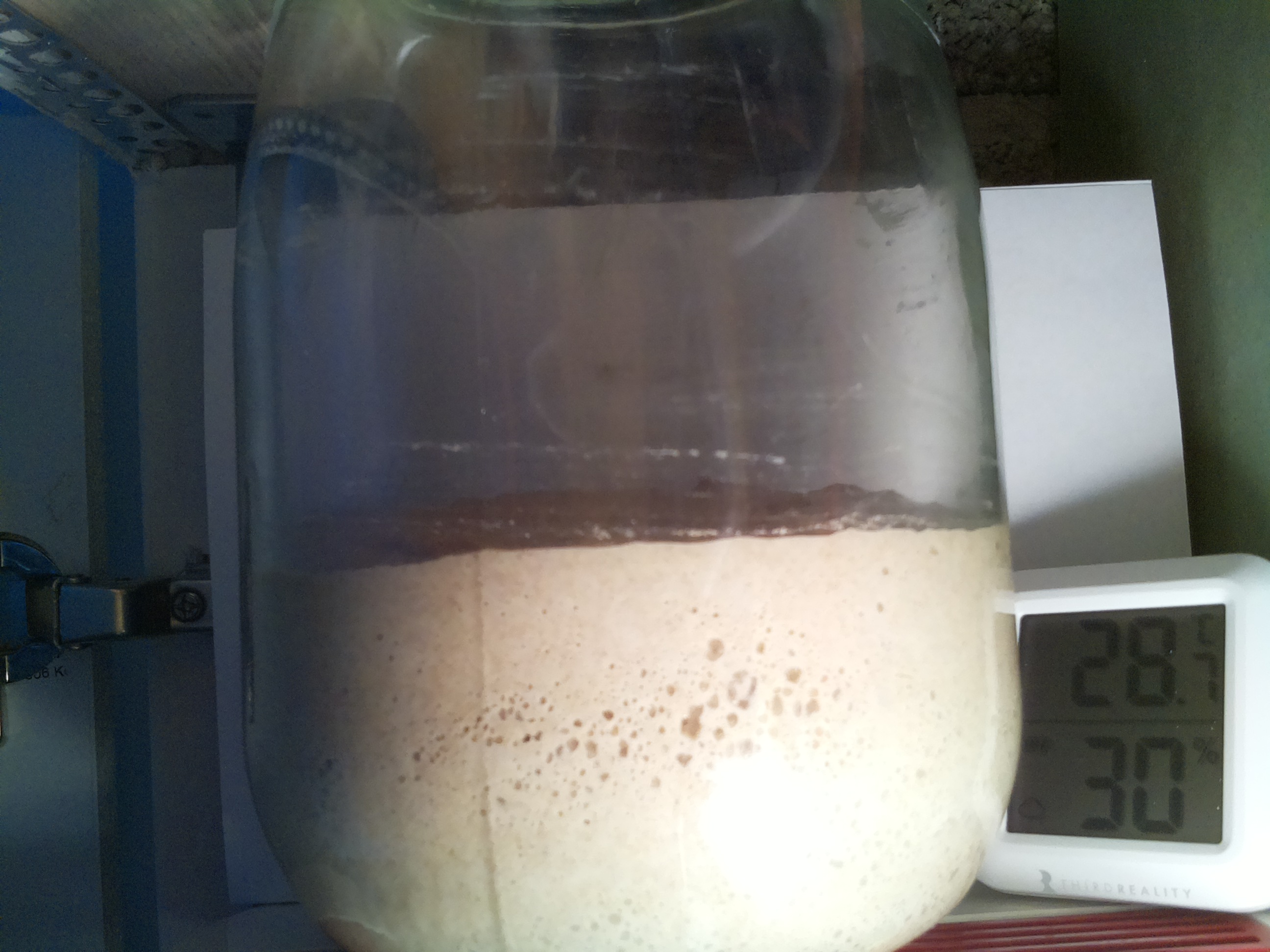 Bild vom Sauerteig