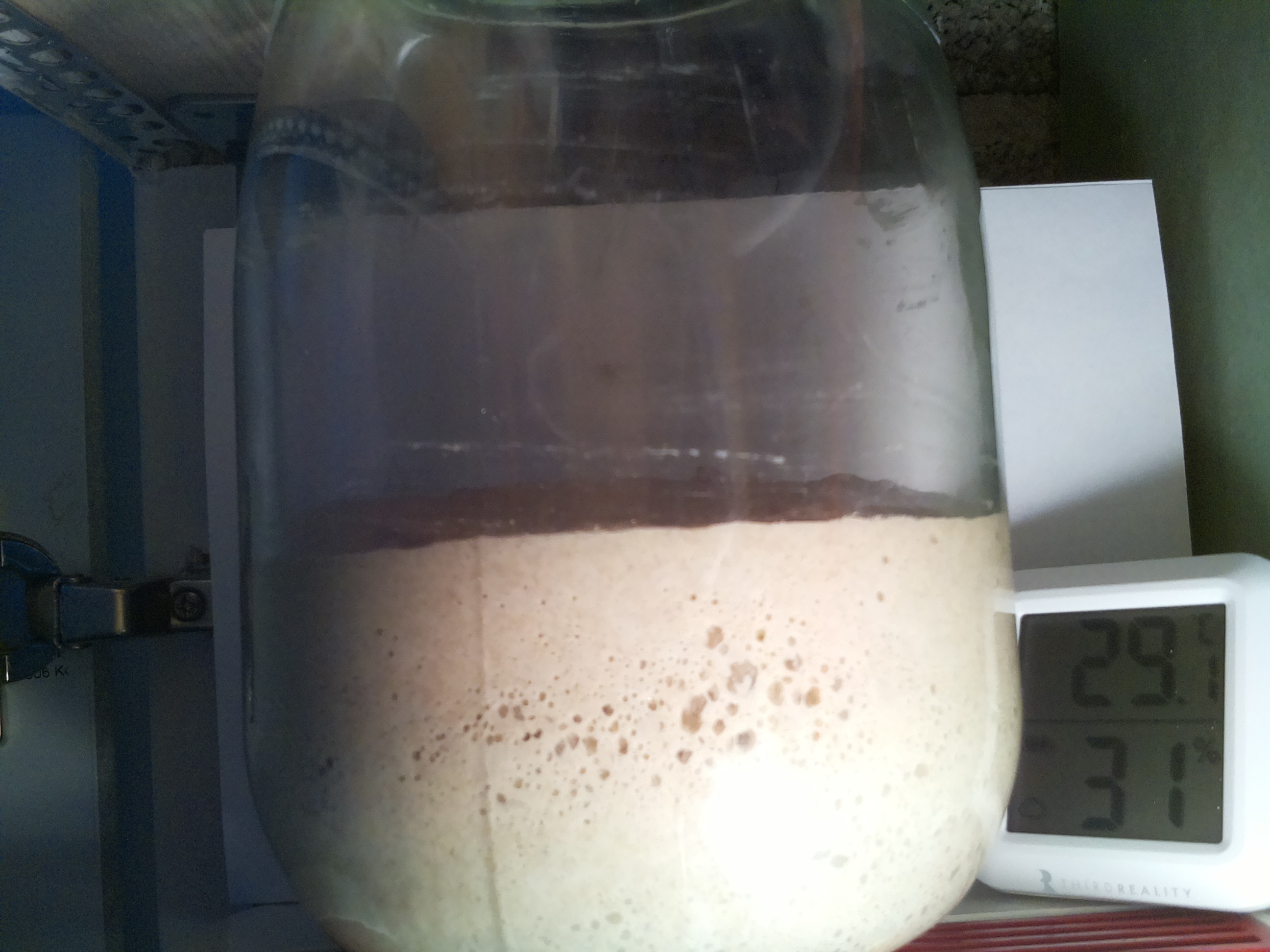 Bild vom Sauerteig