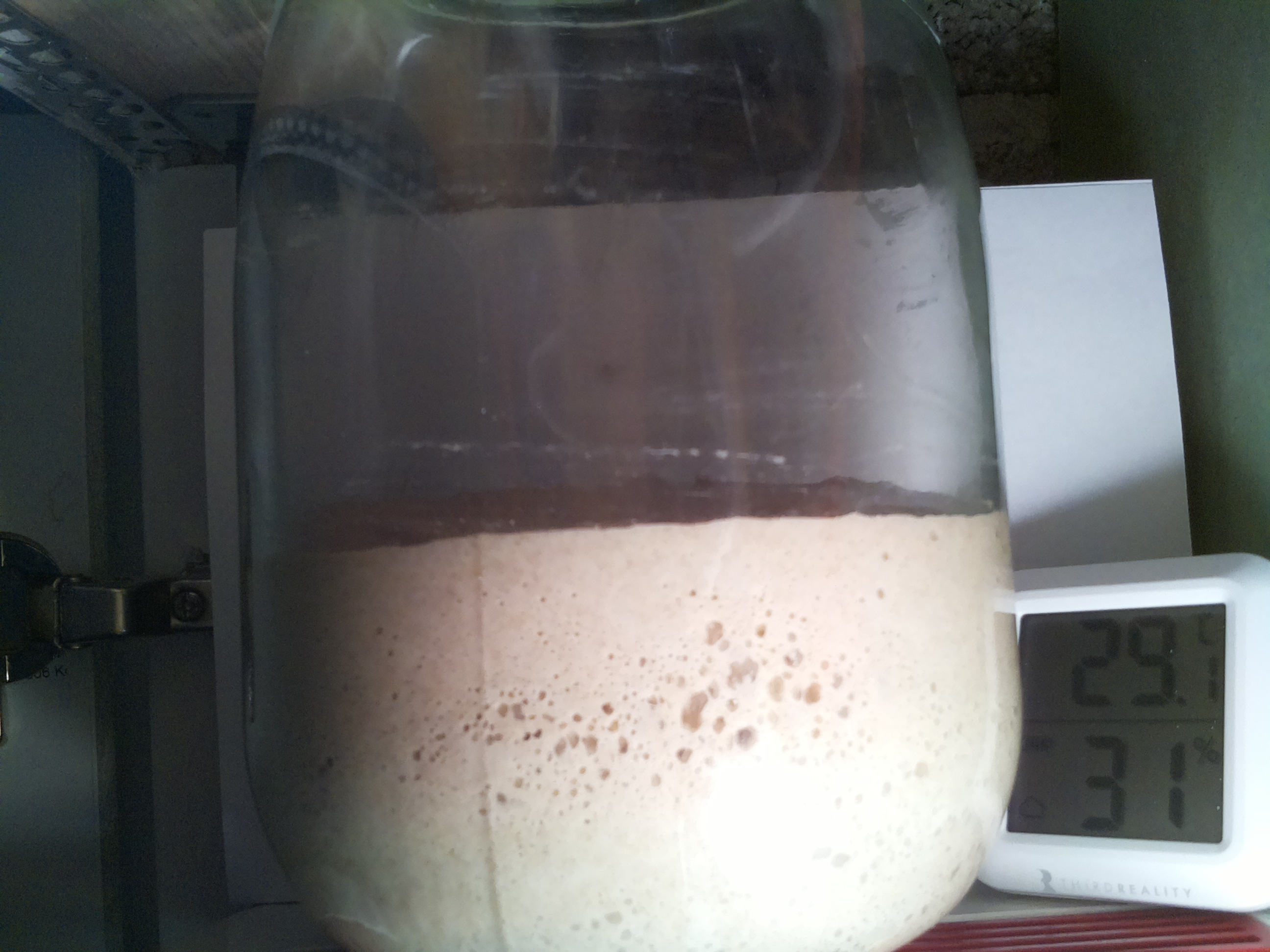 Bild vom Sauerteig