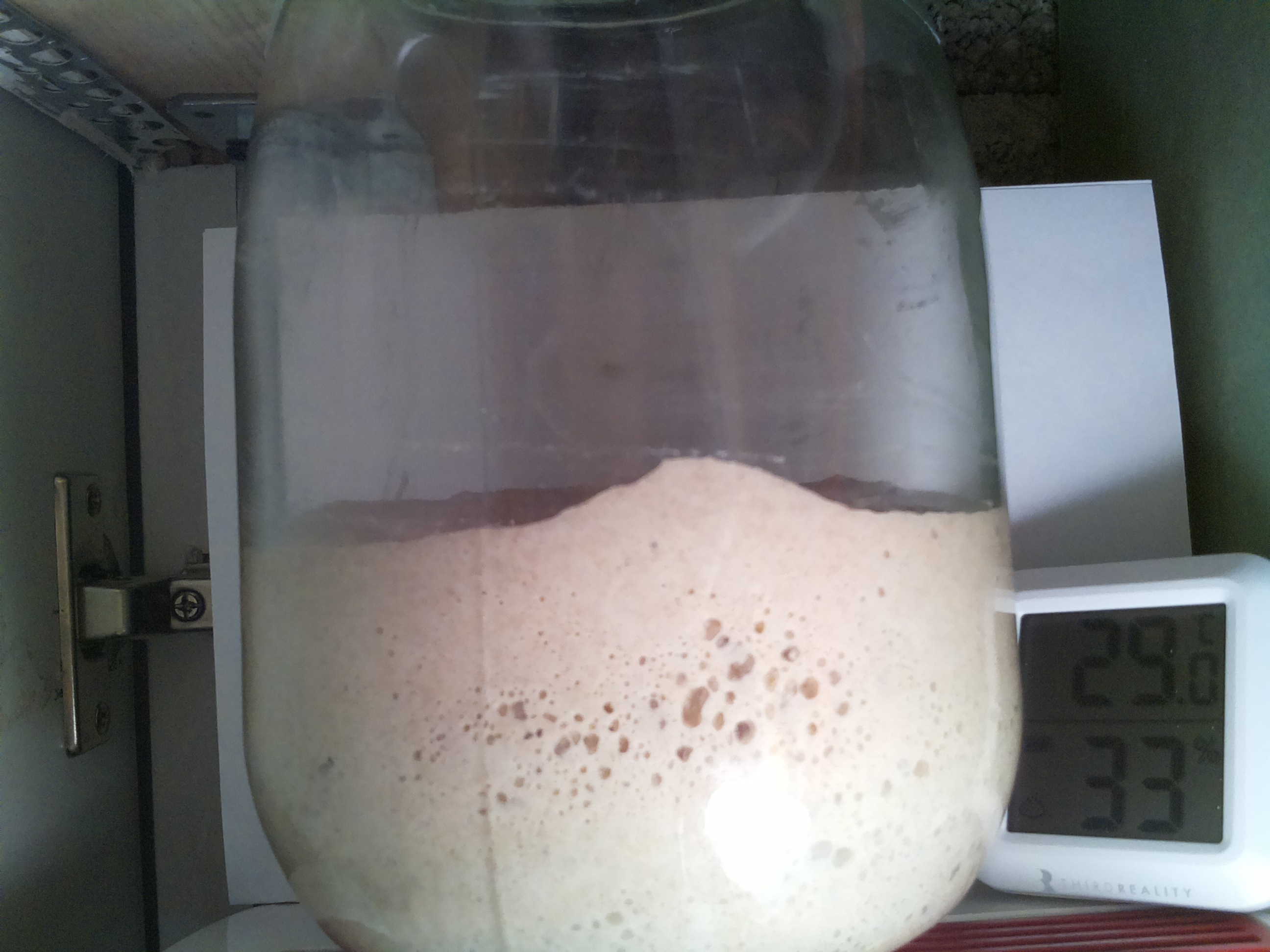 Bild vom Sauerteig
