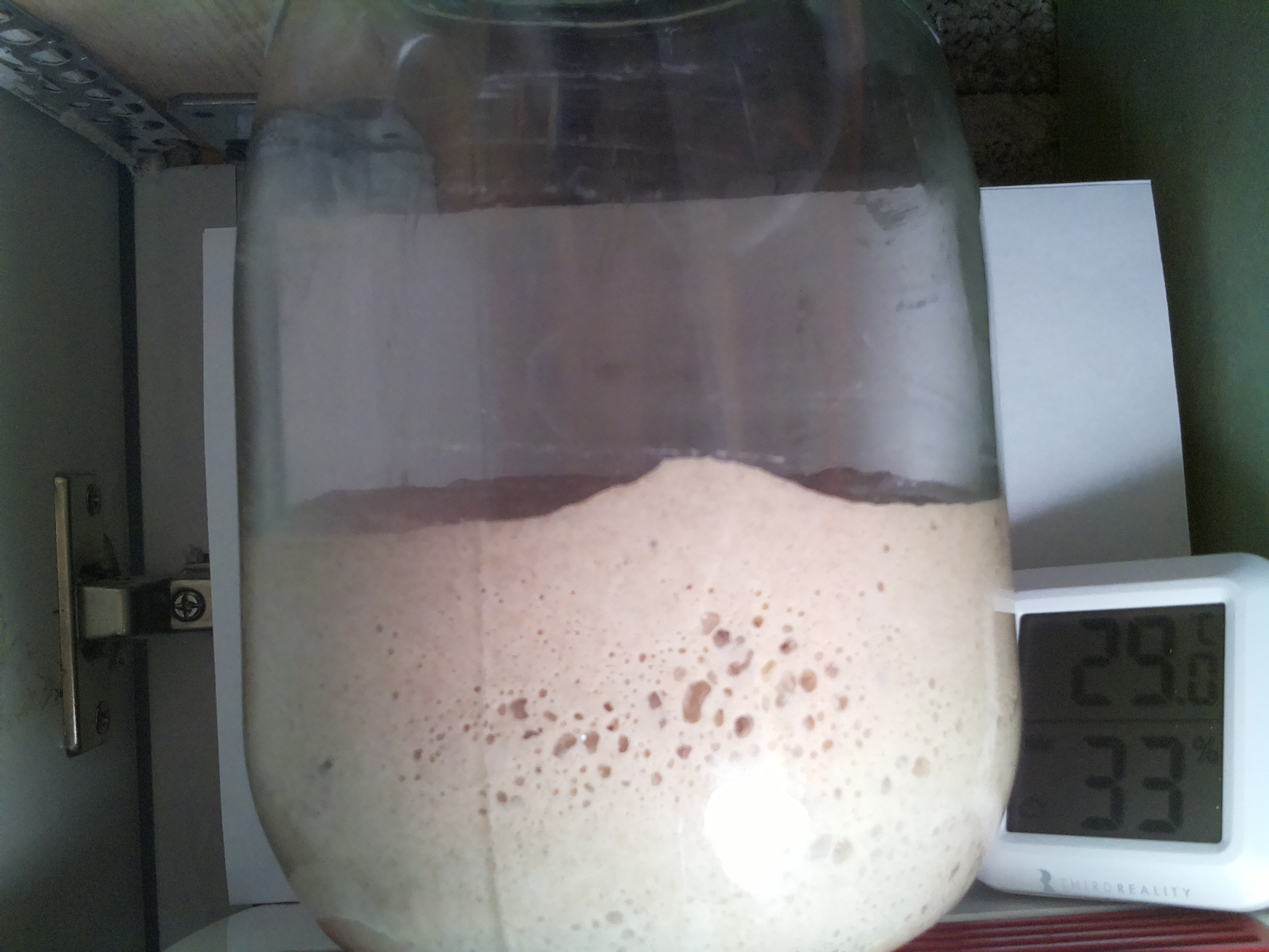 Bild vom Sauerteig