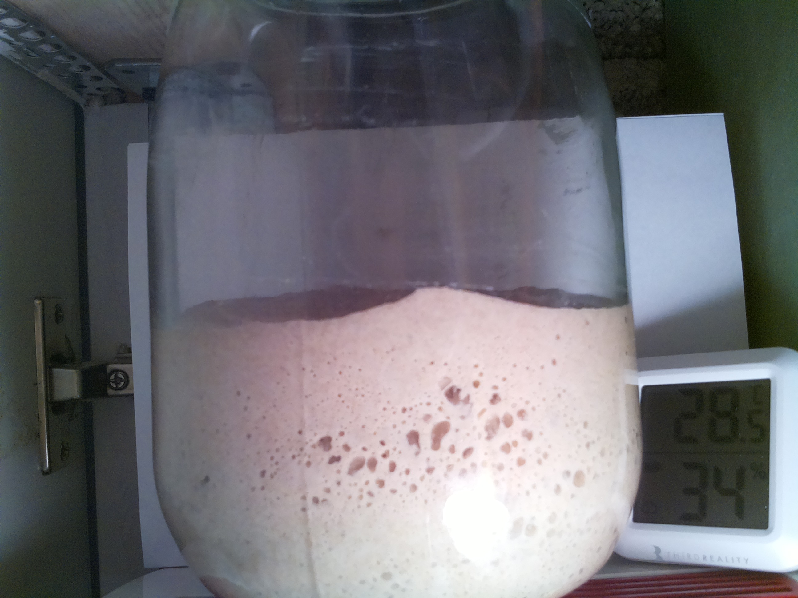 Bild vom Sauerteig