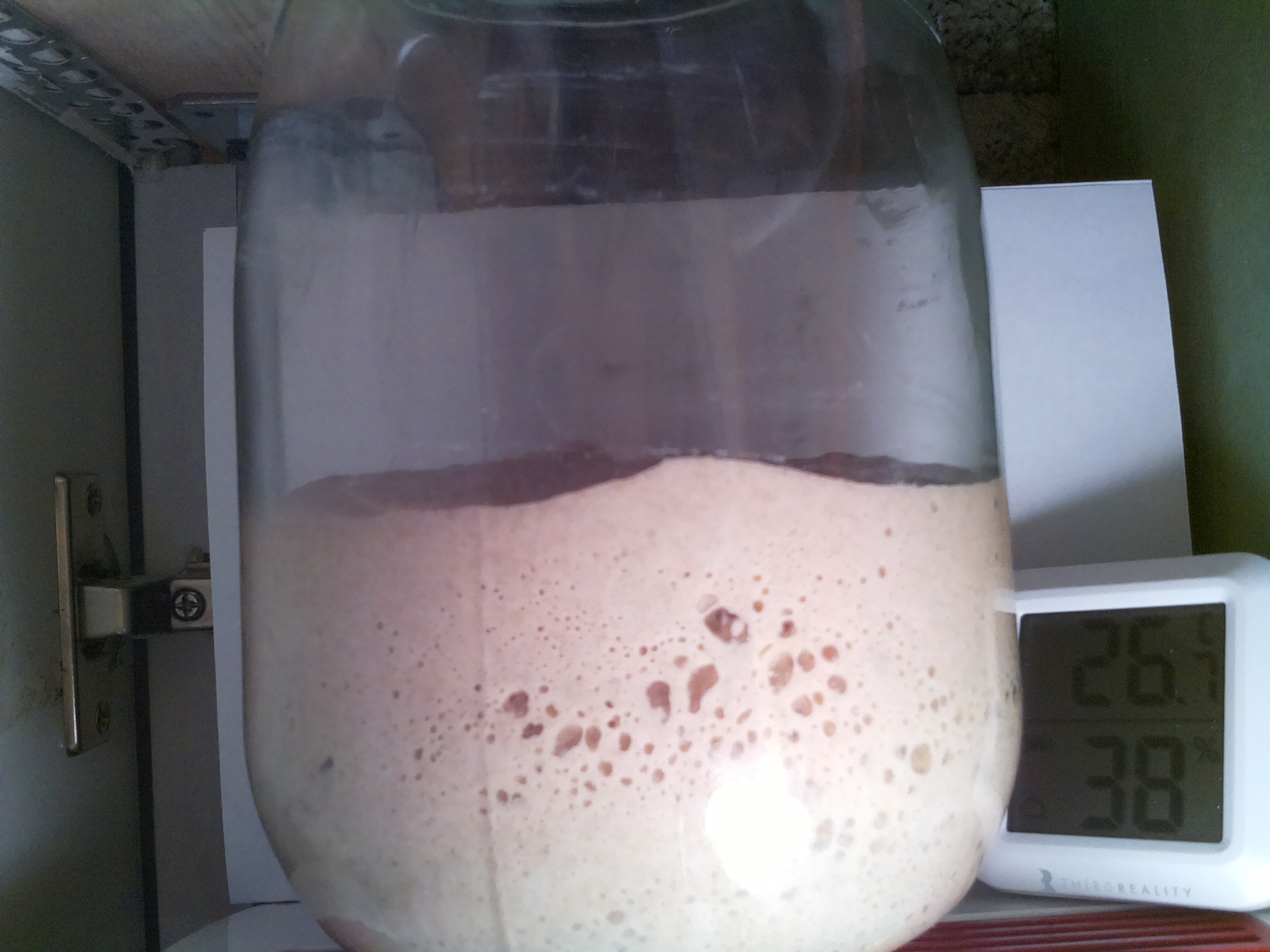 Bild vom Sauerteig