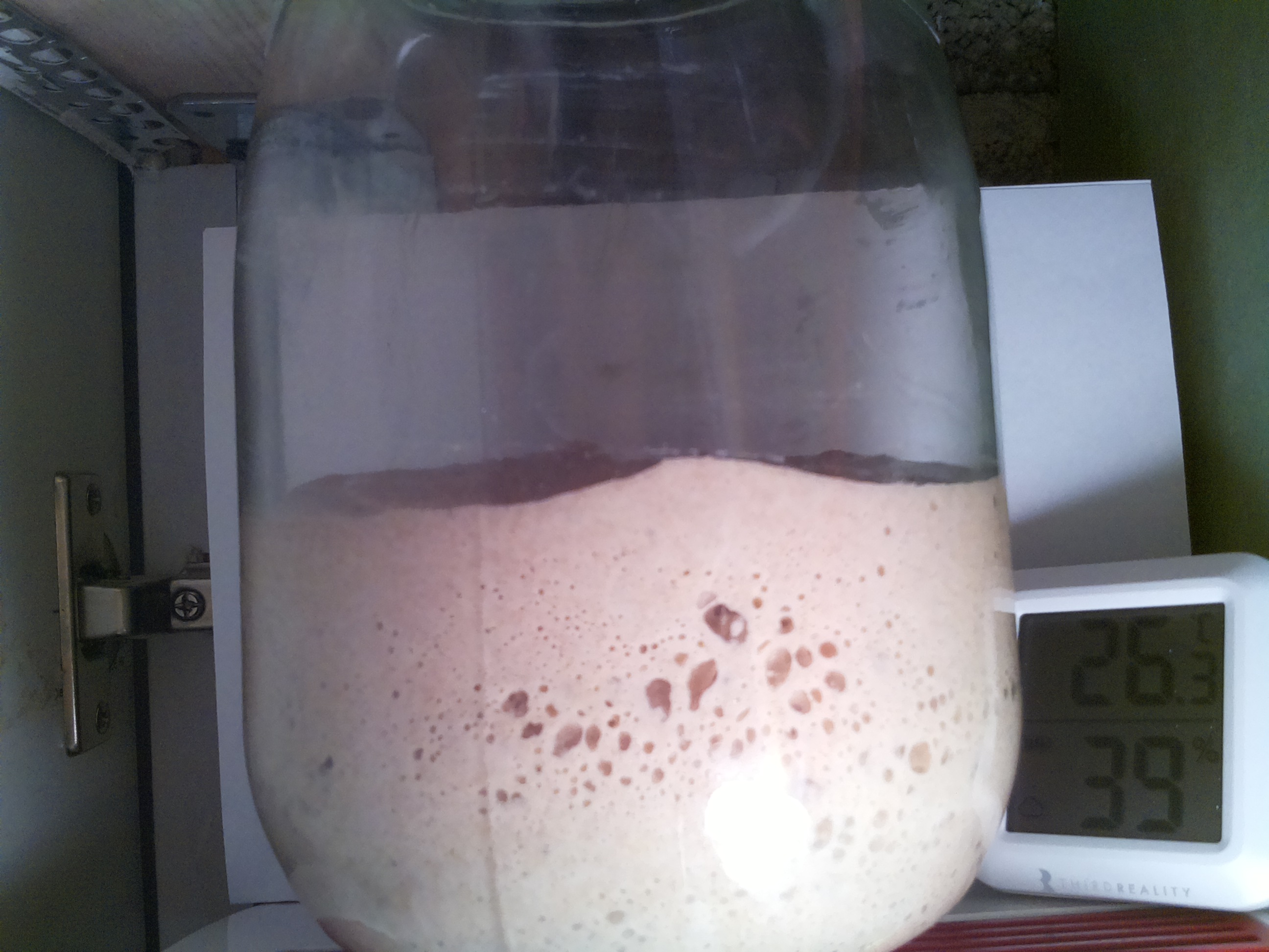 Bild vom Sauerteig