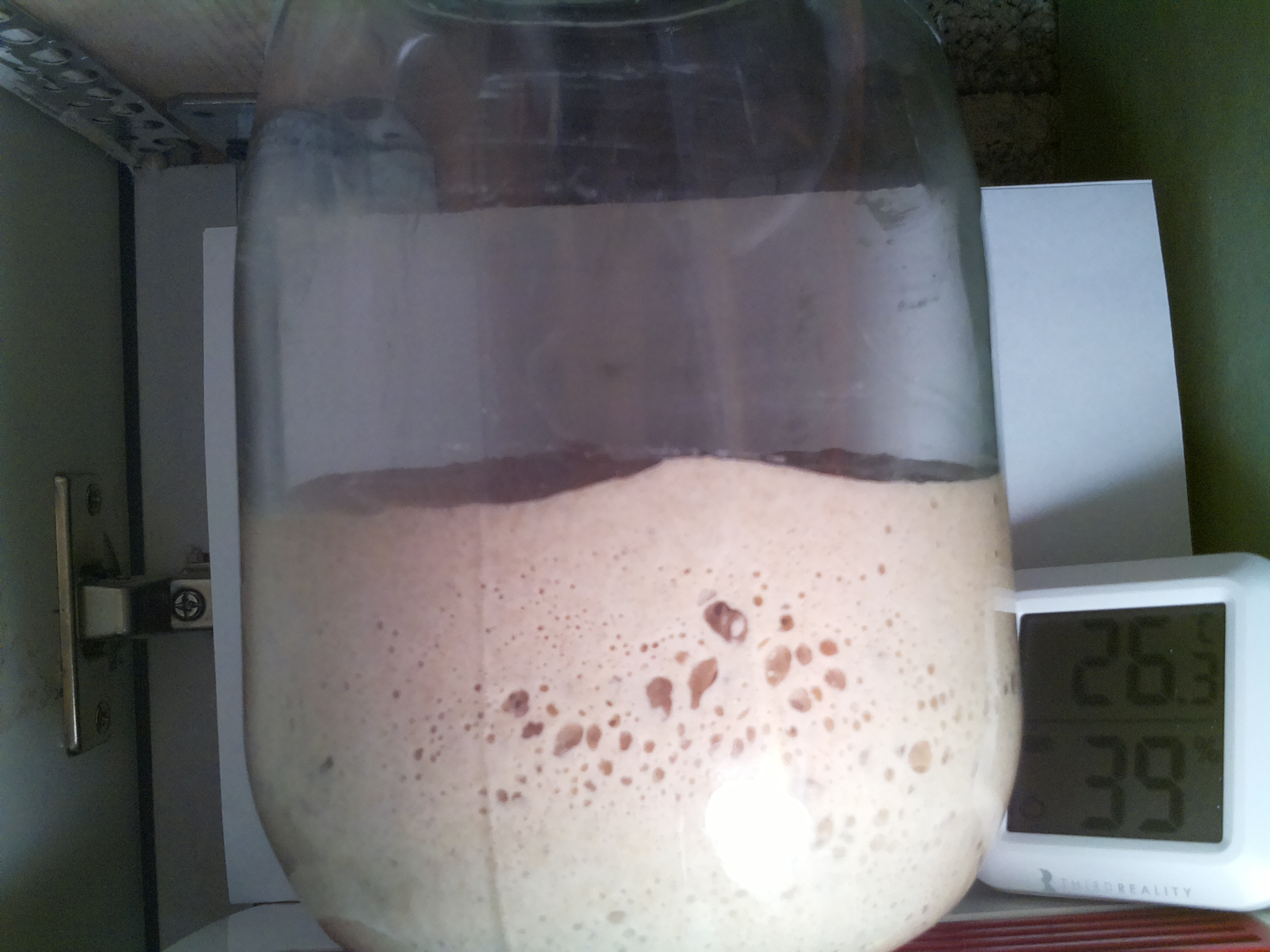 Bild vom Sauerteig