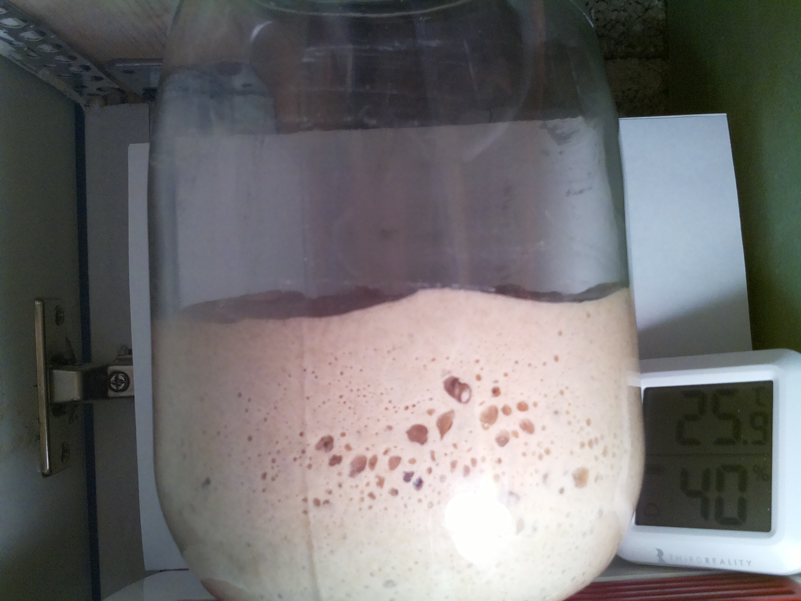 Bild vom Sauerteig