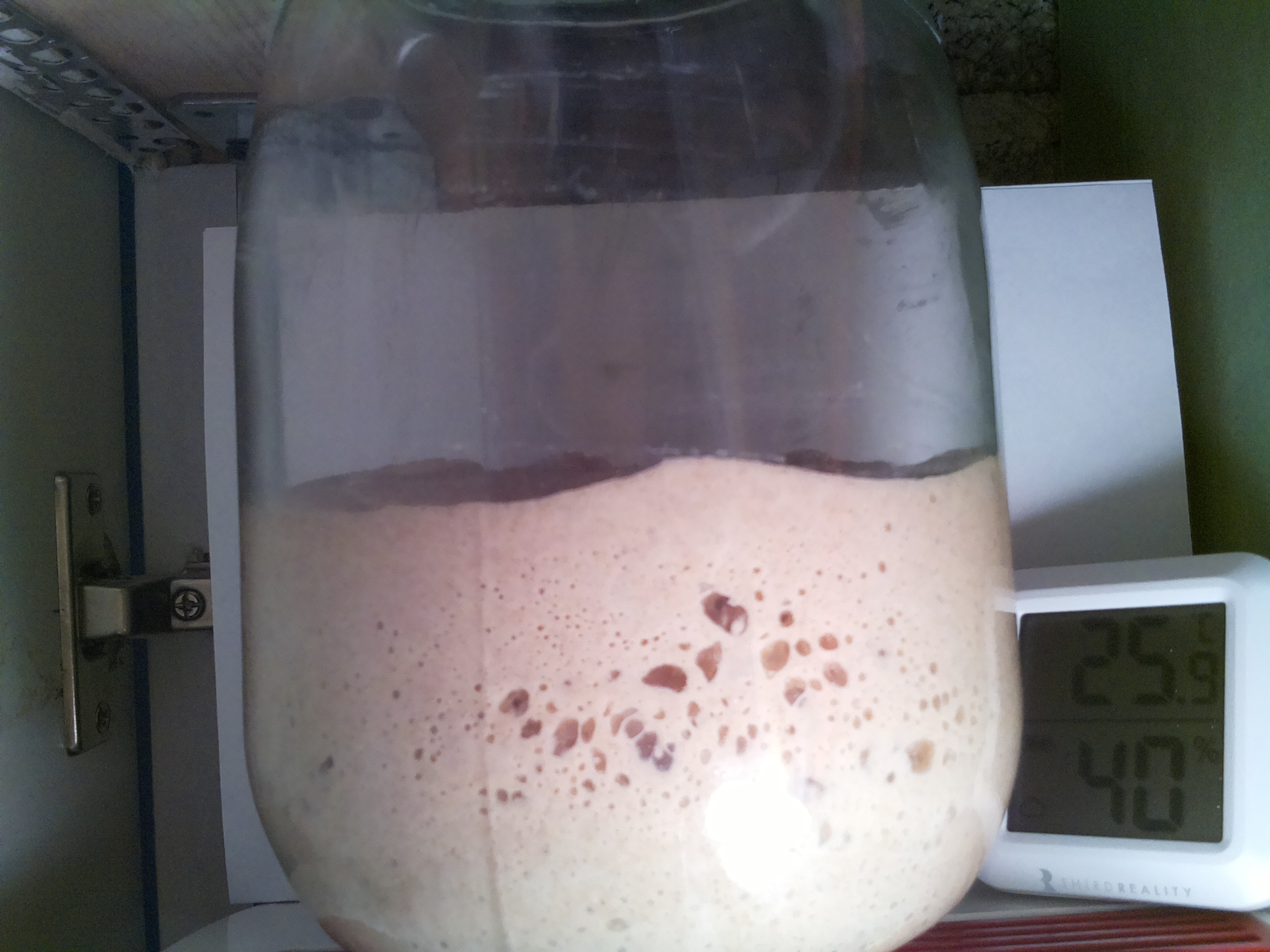 Bild vom Sauerteig