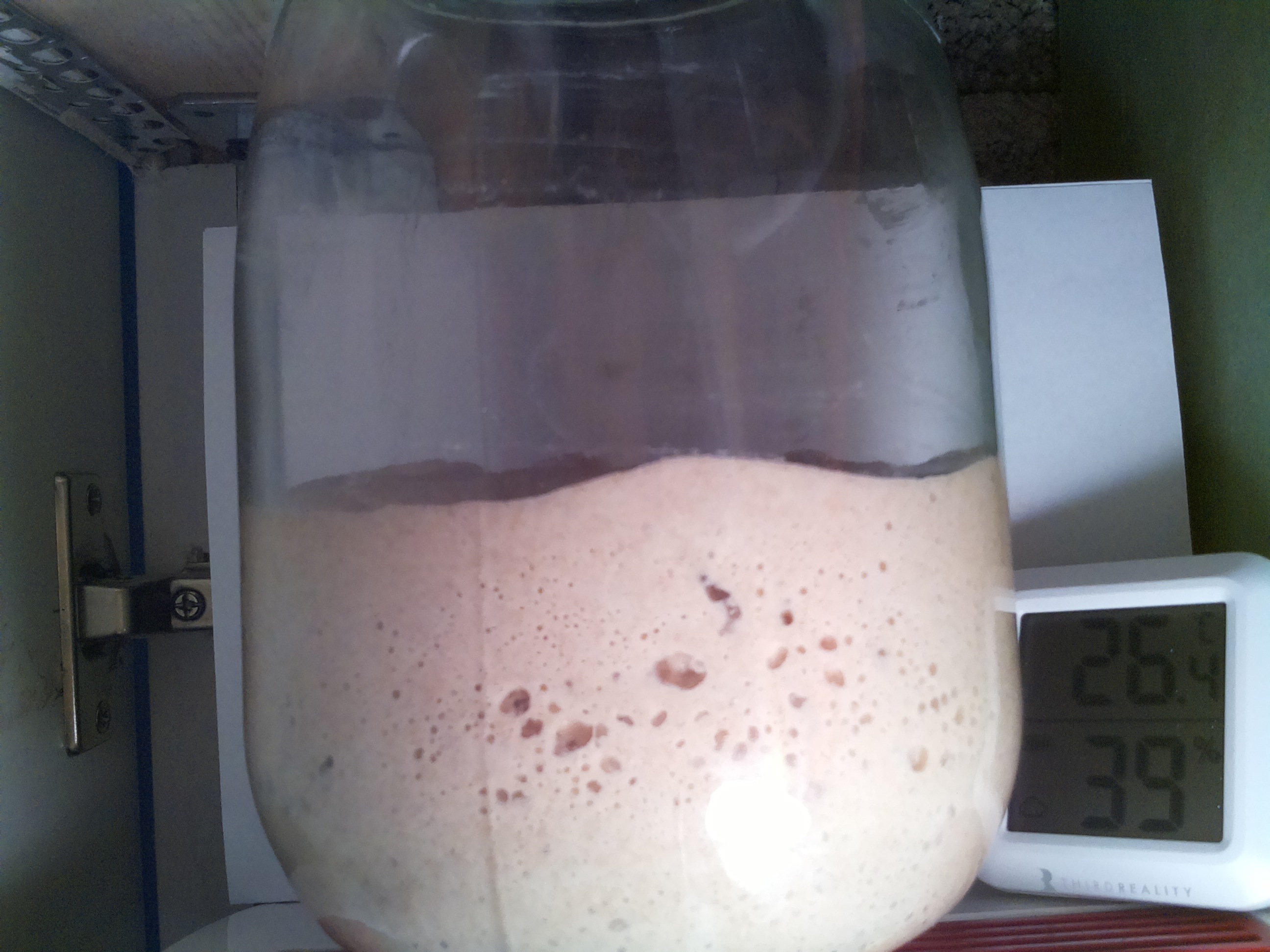 Bild vom Sauerteig