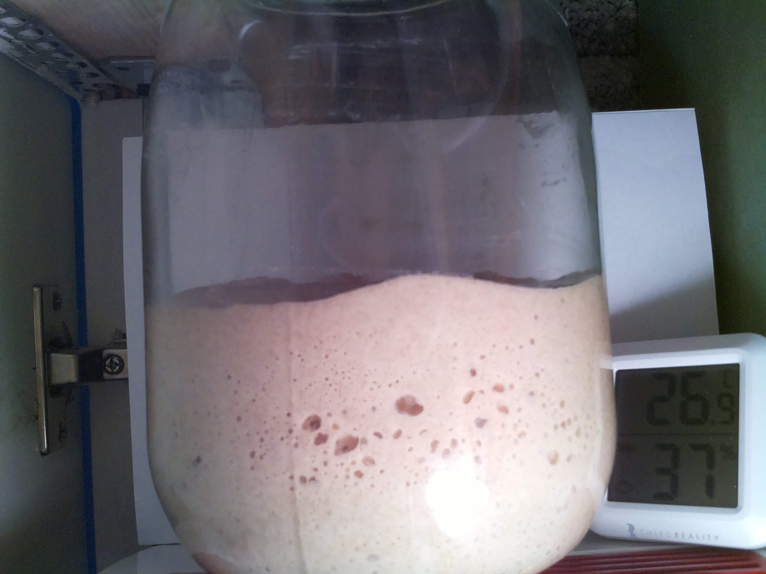Bild vom Sauerteig