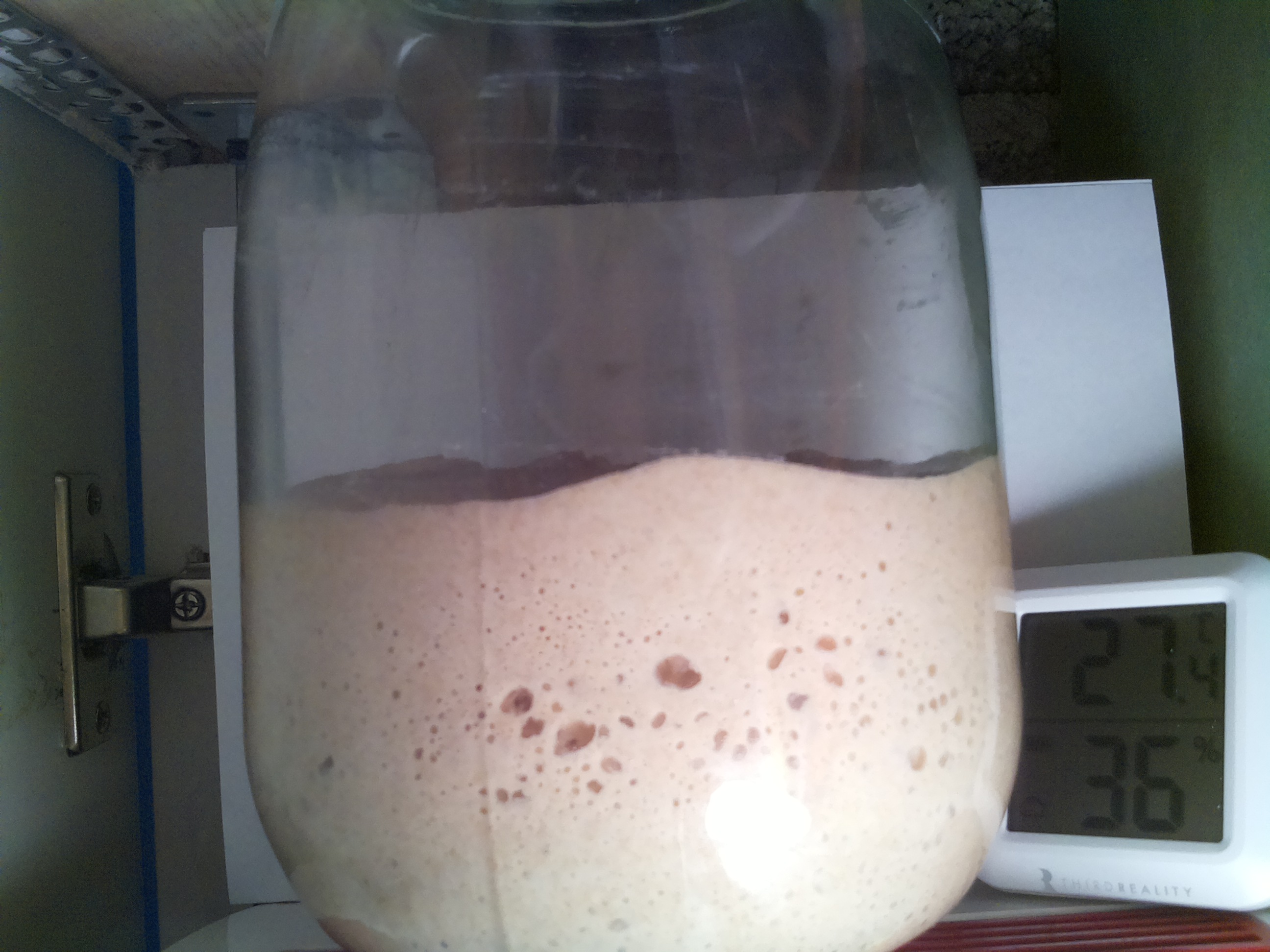 Bild vom Sauerteig