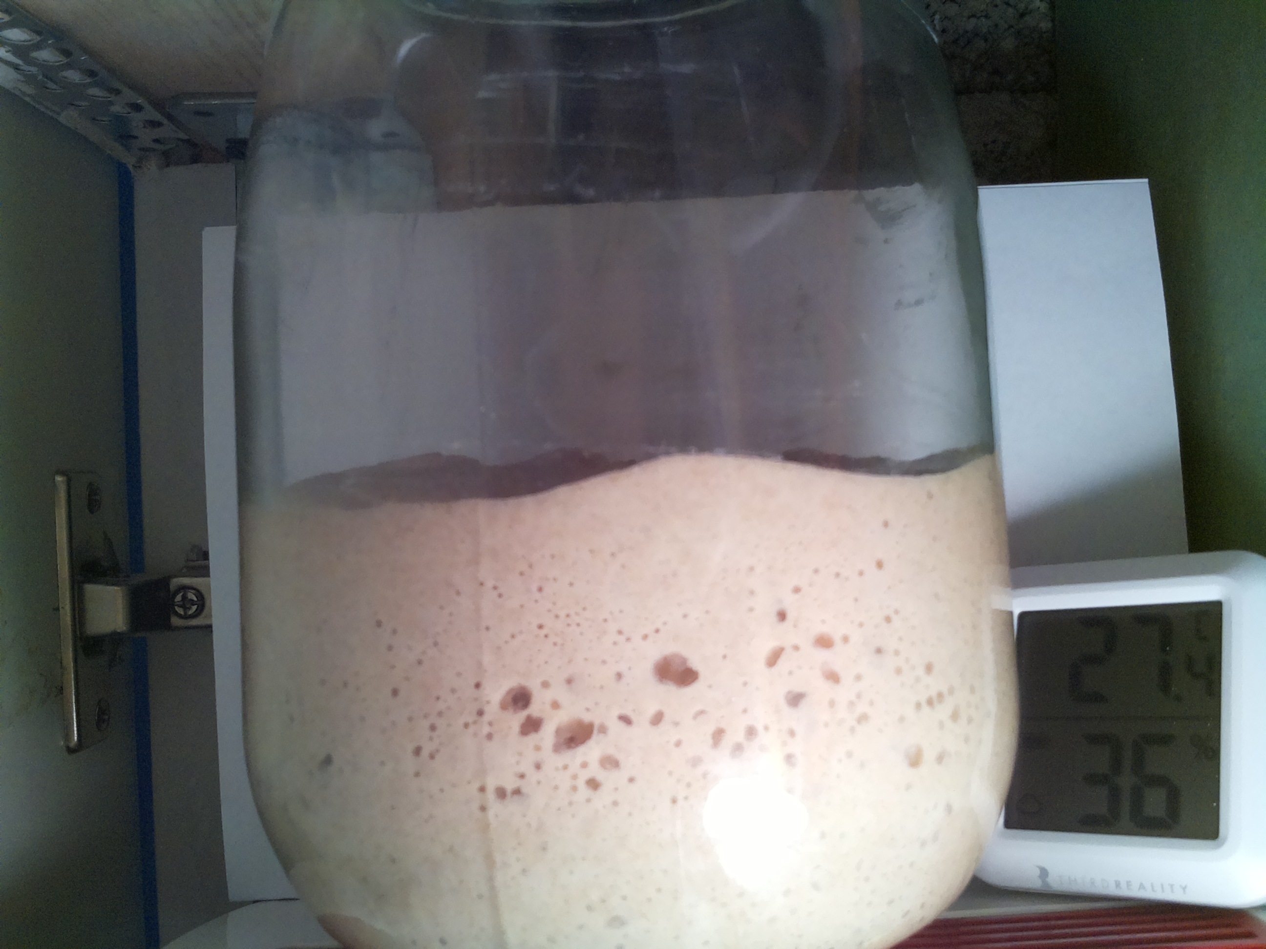 Bild vom Sauerteig