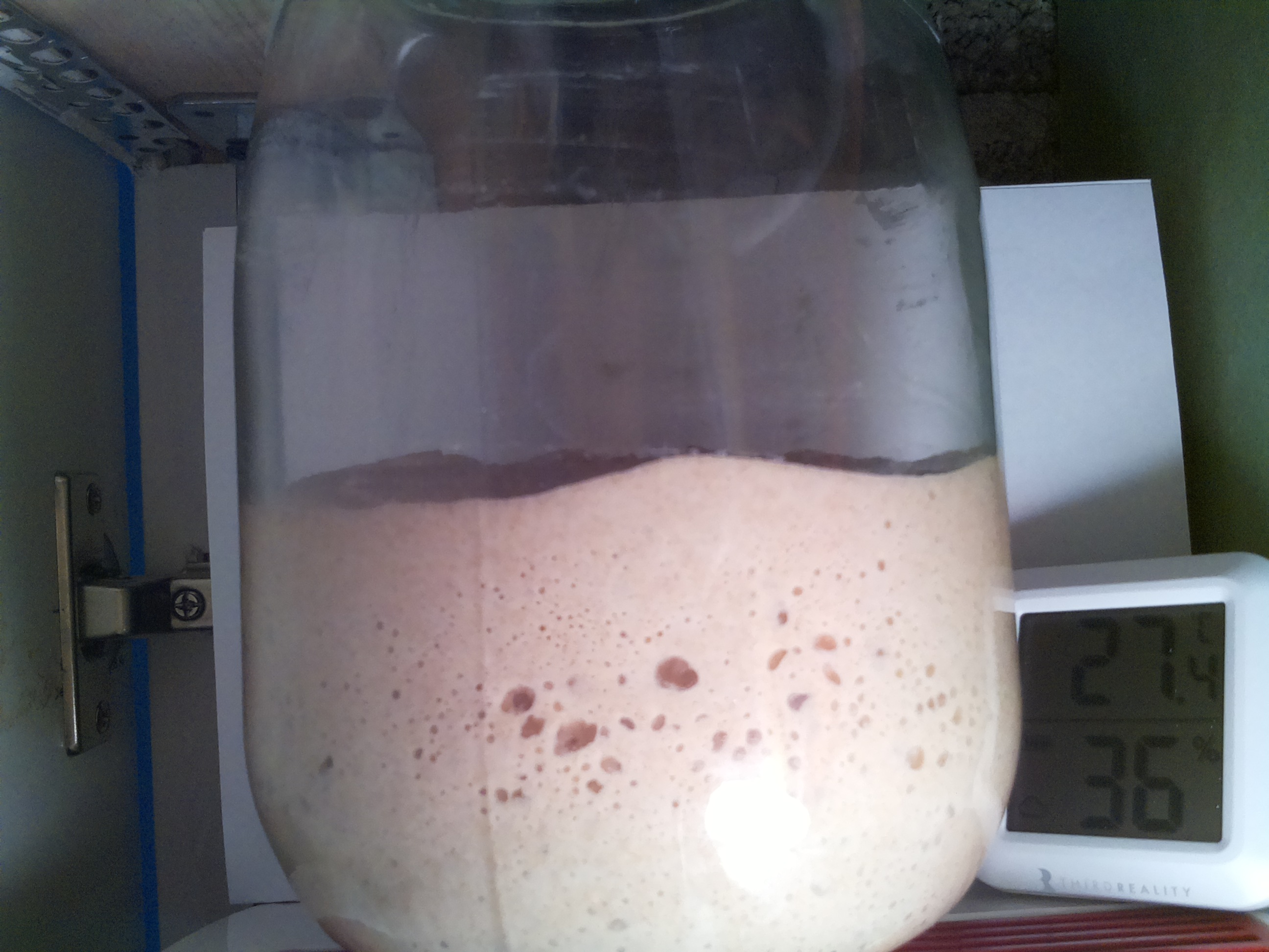 Bild vom Sauerteig