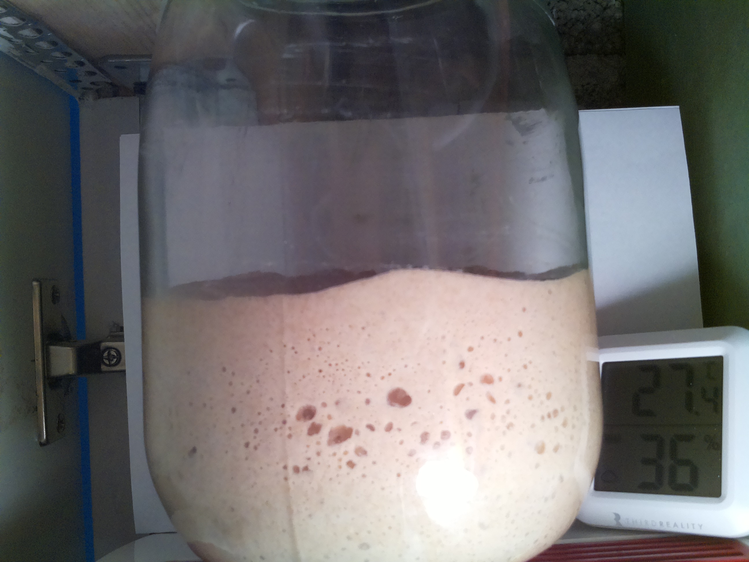 Bild vom Sauerteig