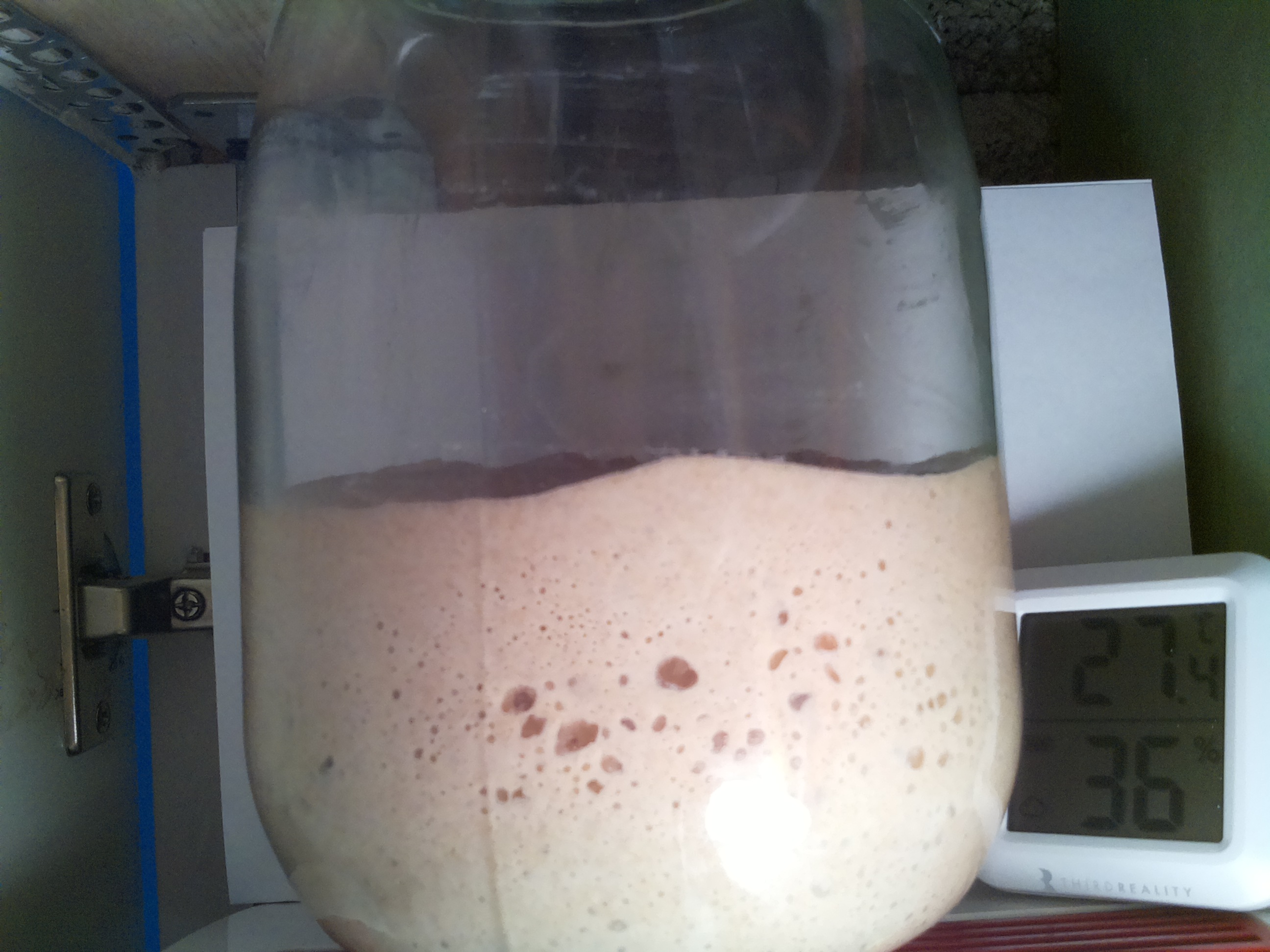 Bild vom Sauerteig