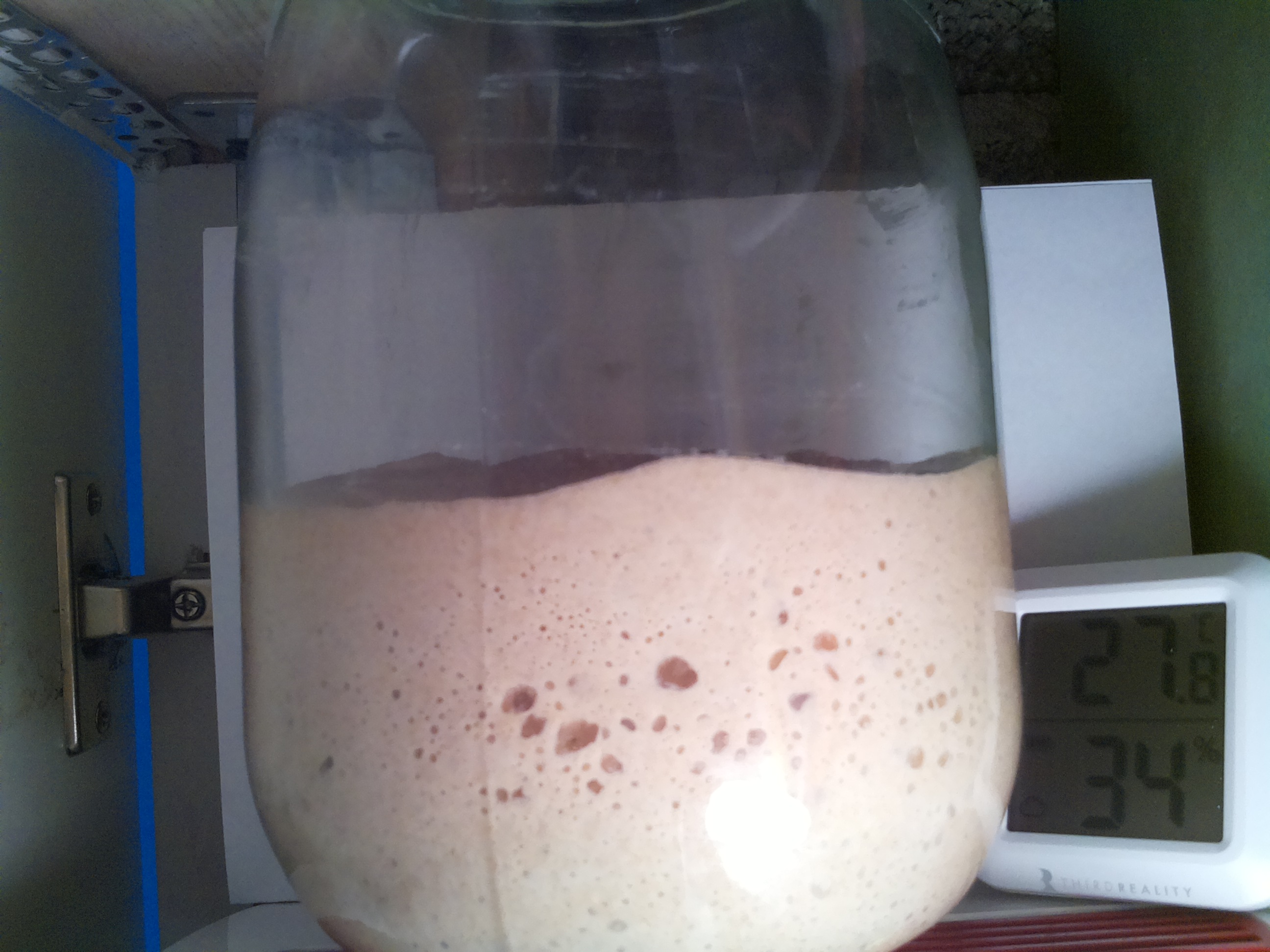 Bild vom Sauerteig