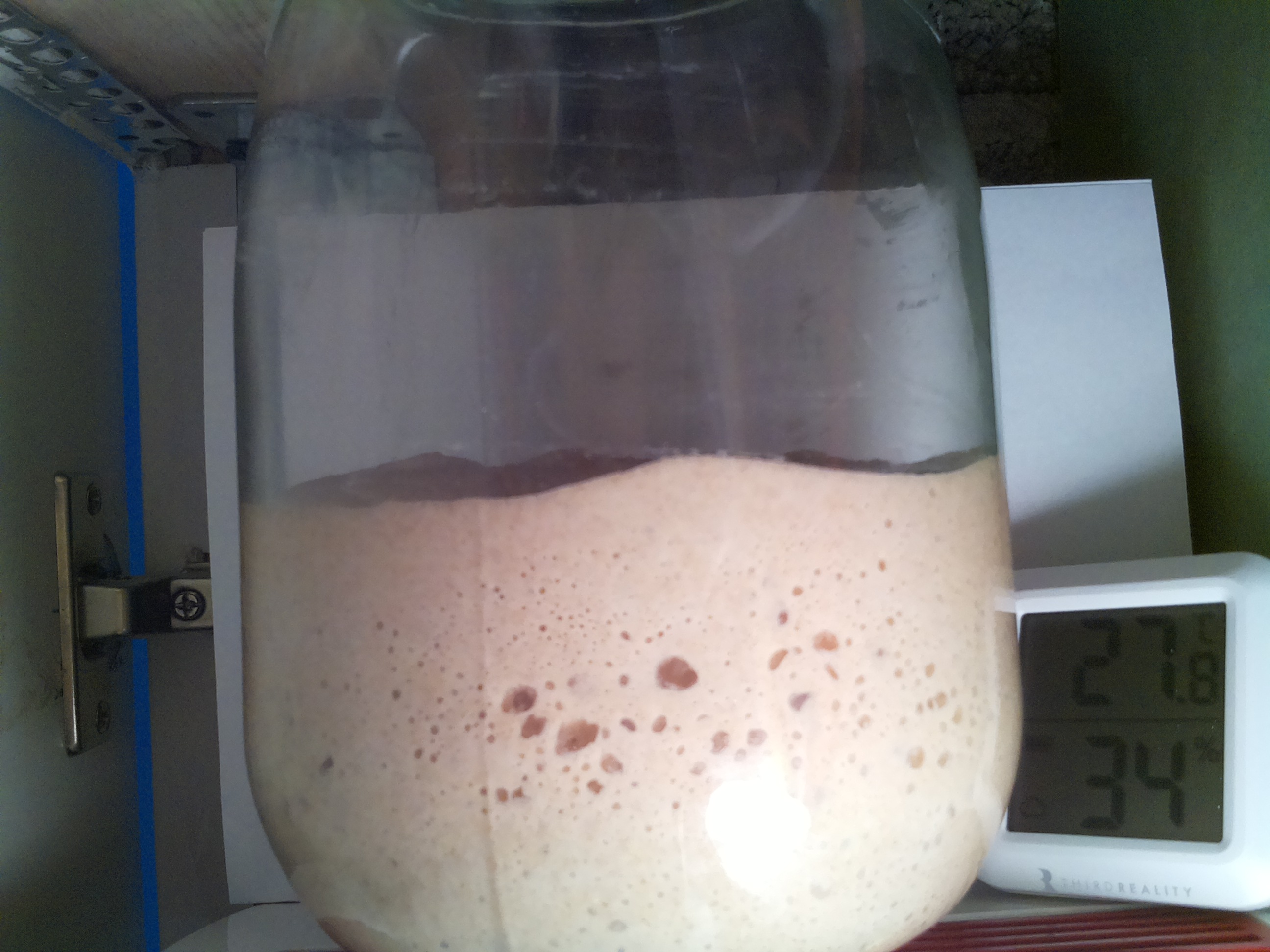 Bild vom Sauerteig