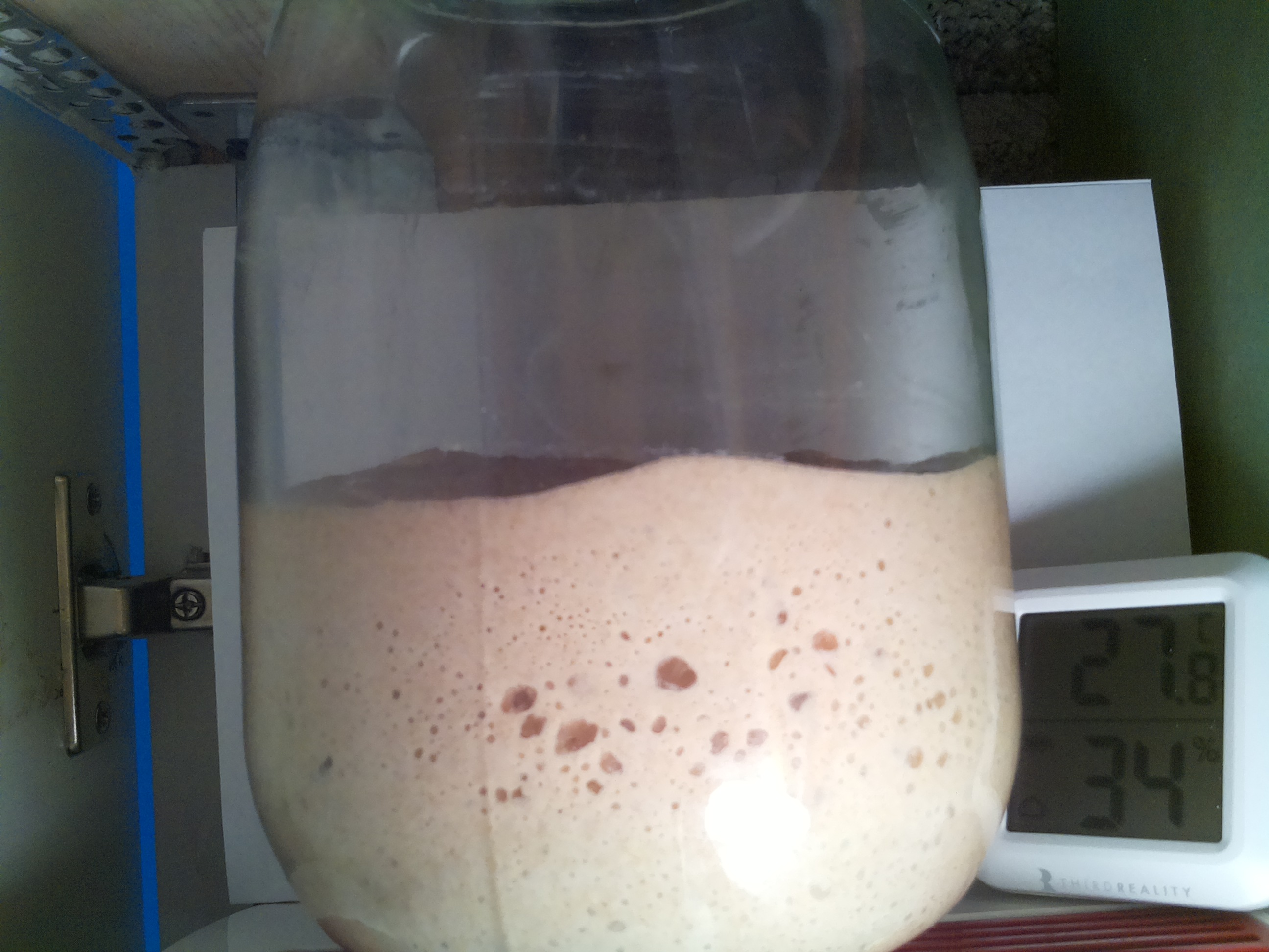 Bild vom Sauerteig