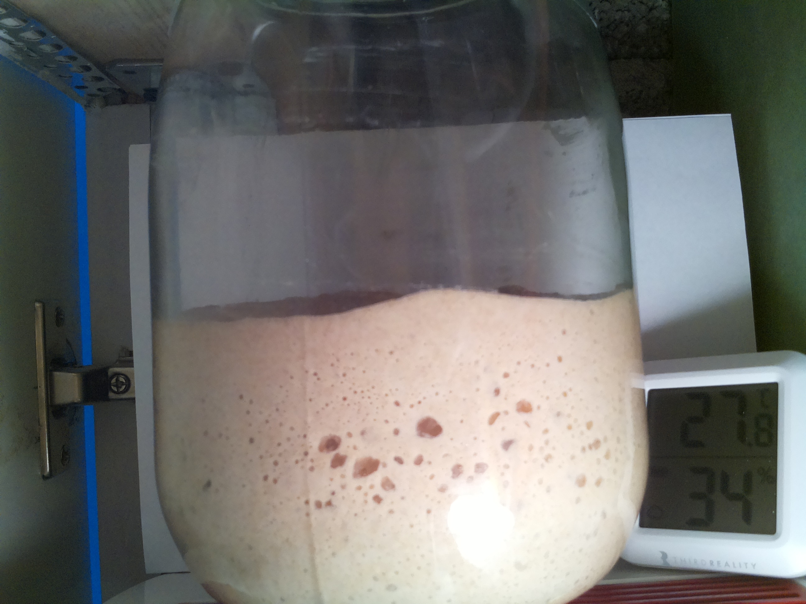 Bild vom Sauerteig