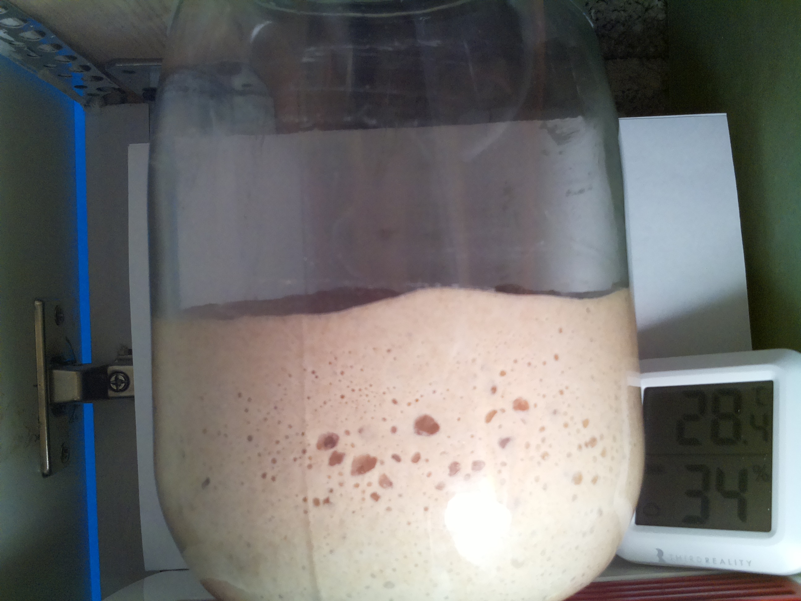 Bild vom Sauerteig