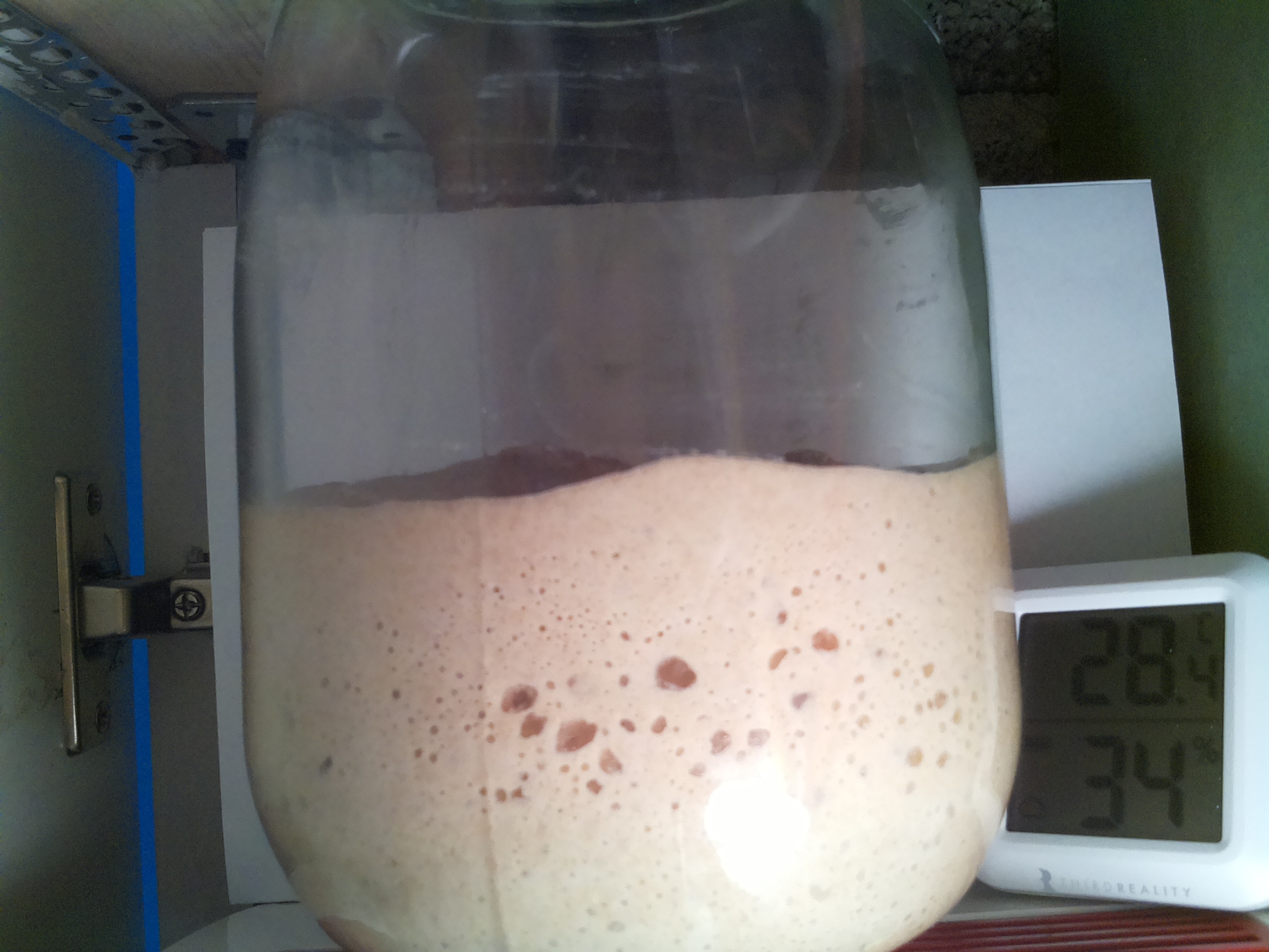 Bild vom Sauerteig