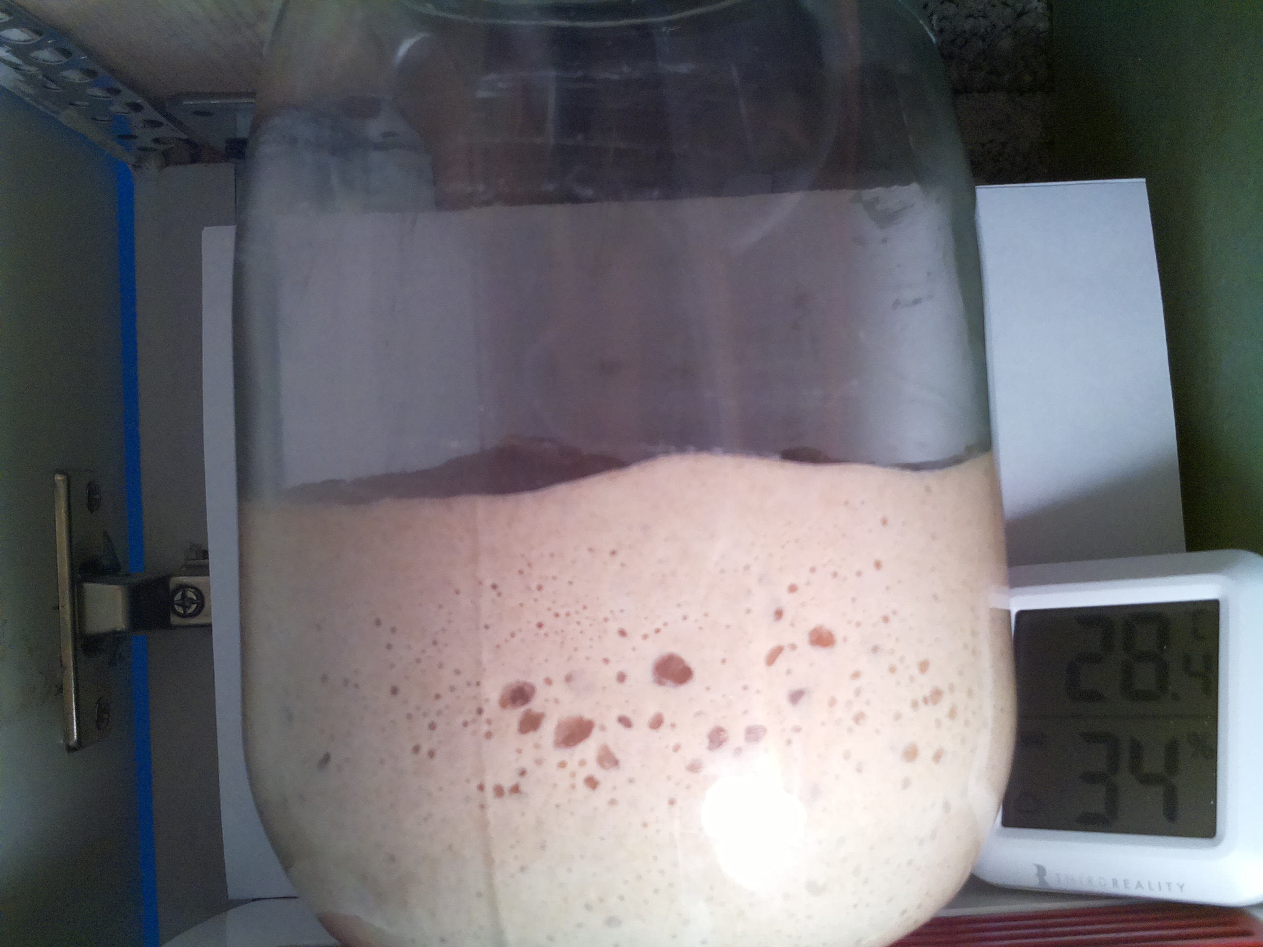Bild vom Sauerteig