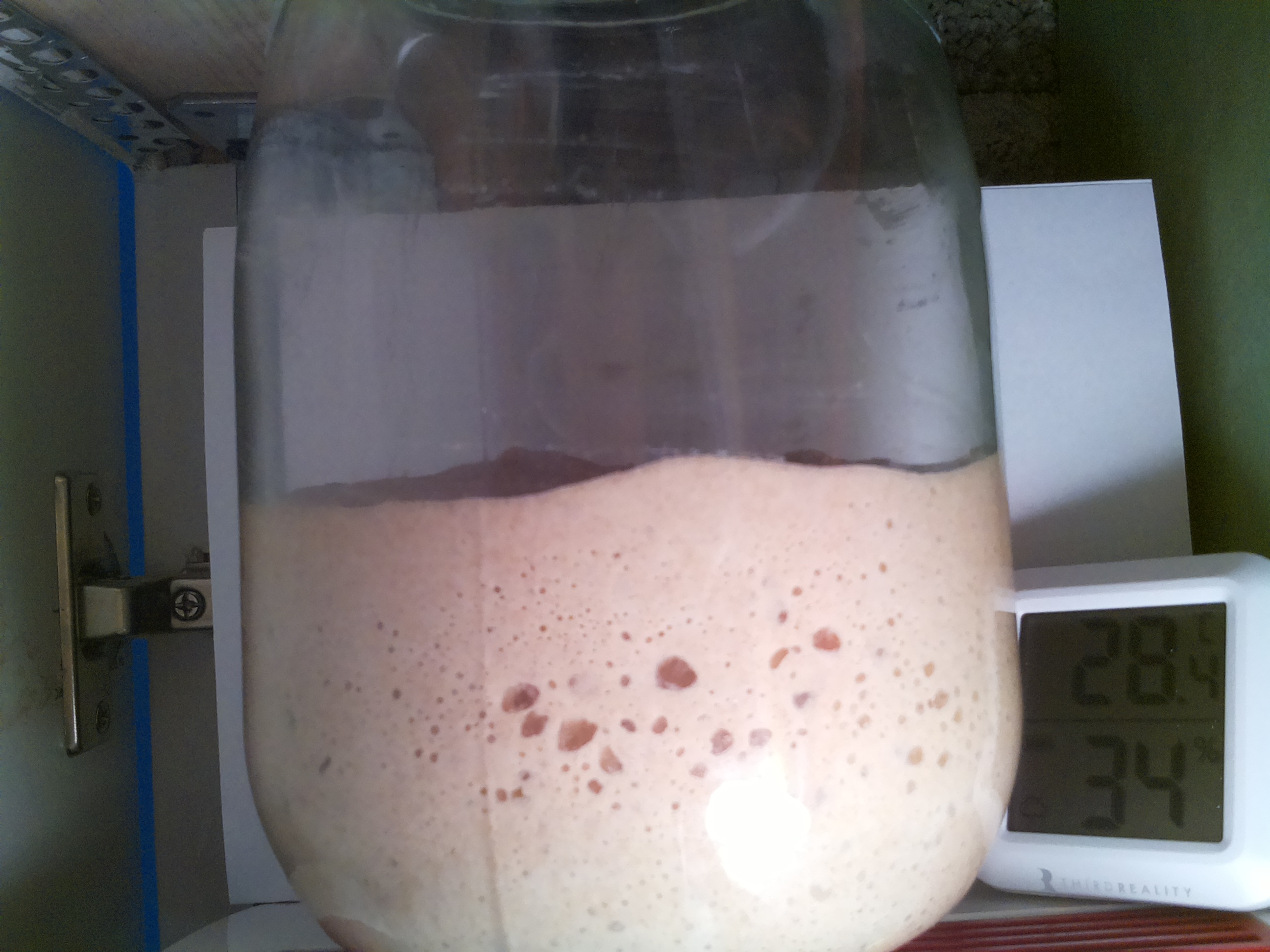 Bild vom Sauerteig