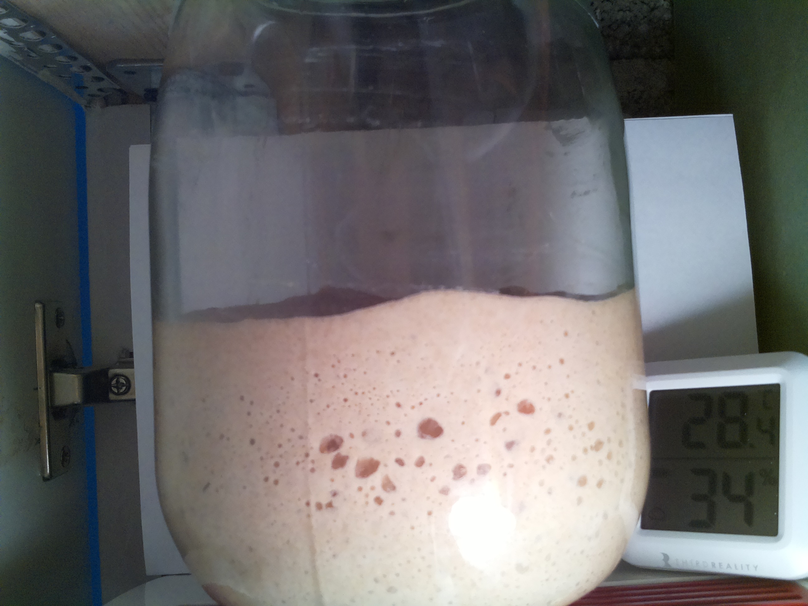 Bild vom Sauerteig