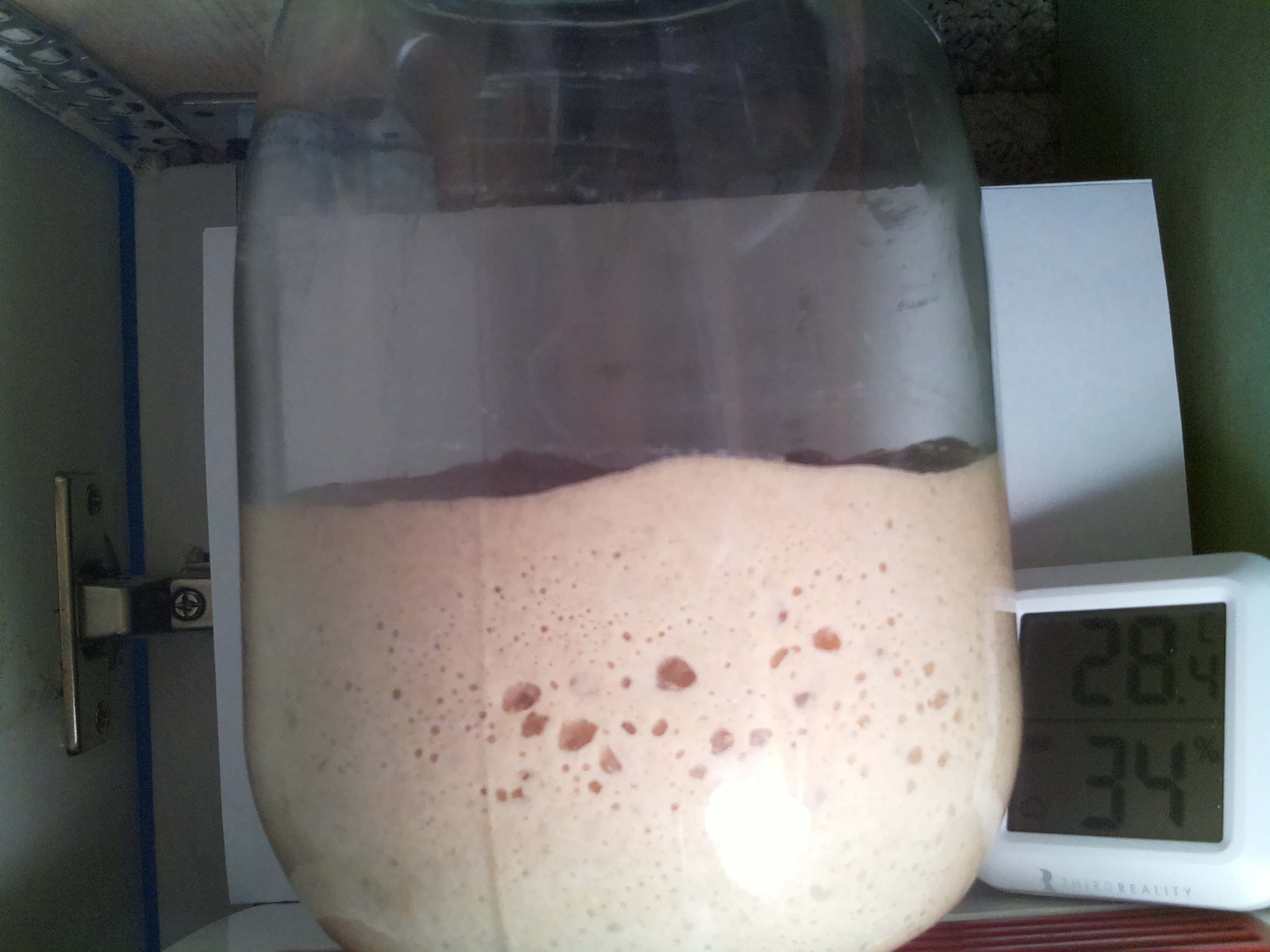 Bild vom Sauerteig