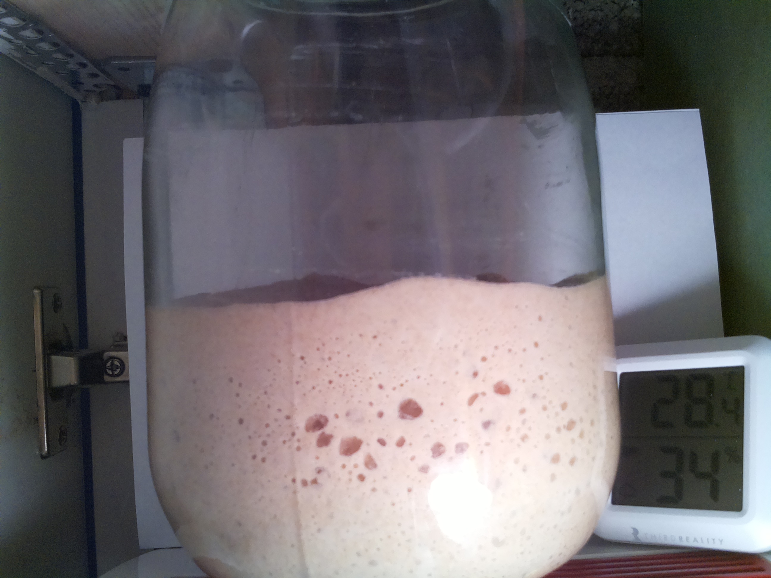 Bild vom Sauerteig