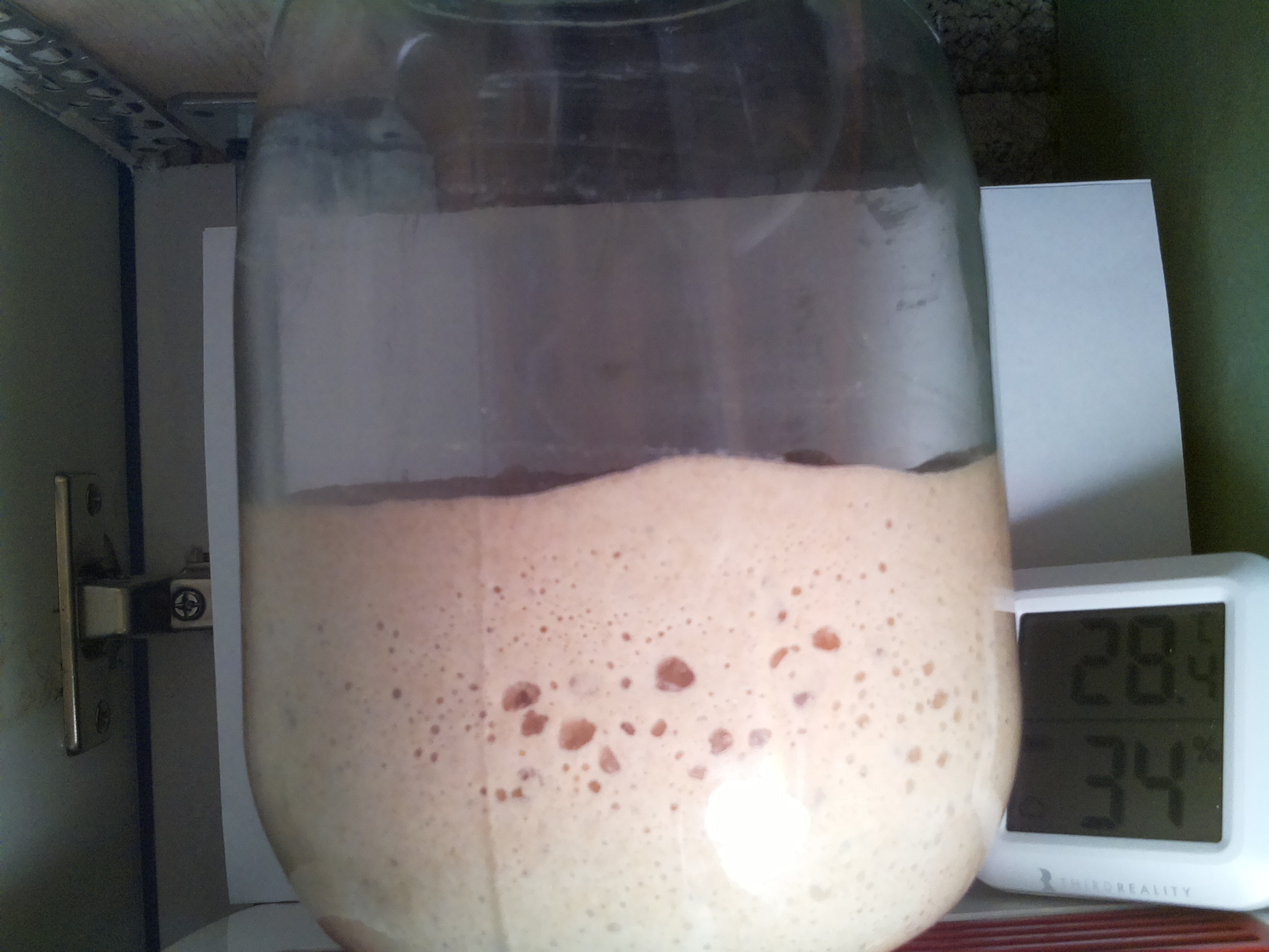 Bild vom Sauerteig