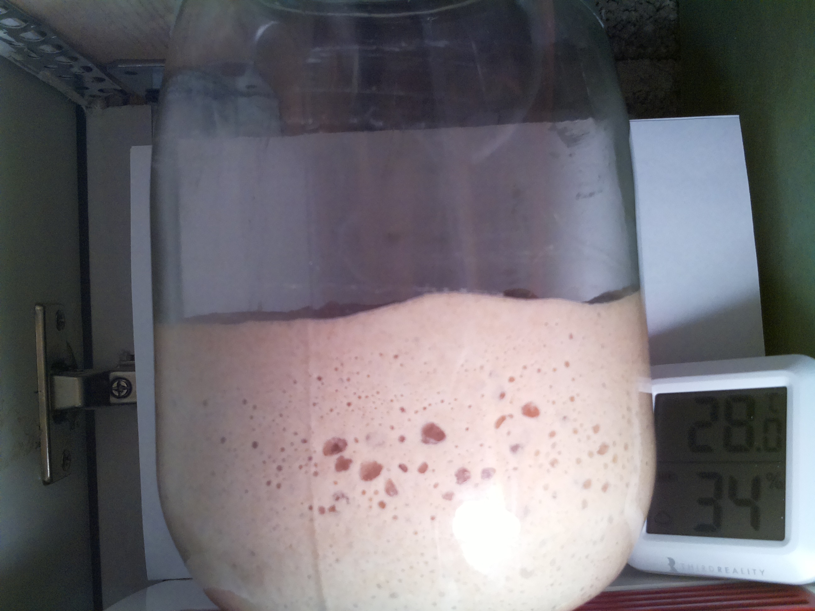 Bild vom Sauerteig
