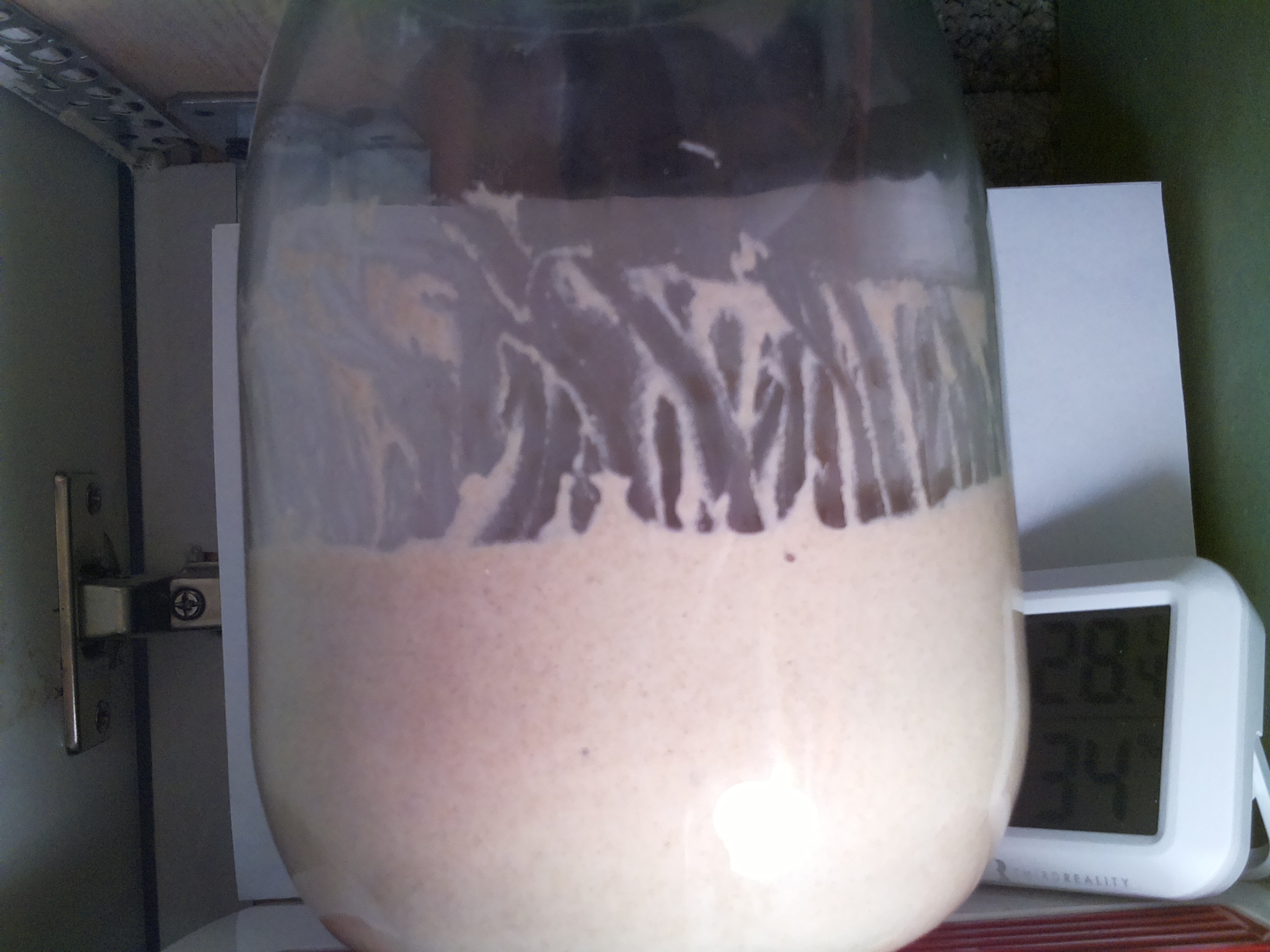 Bild vom Sauerteig