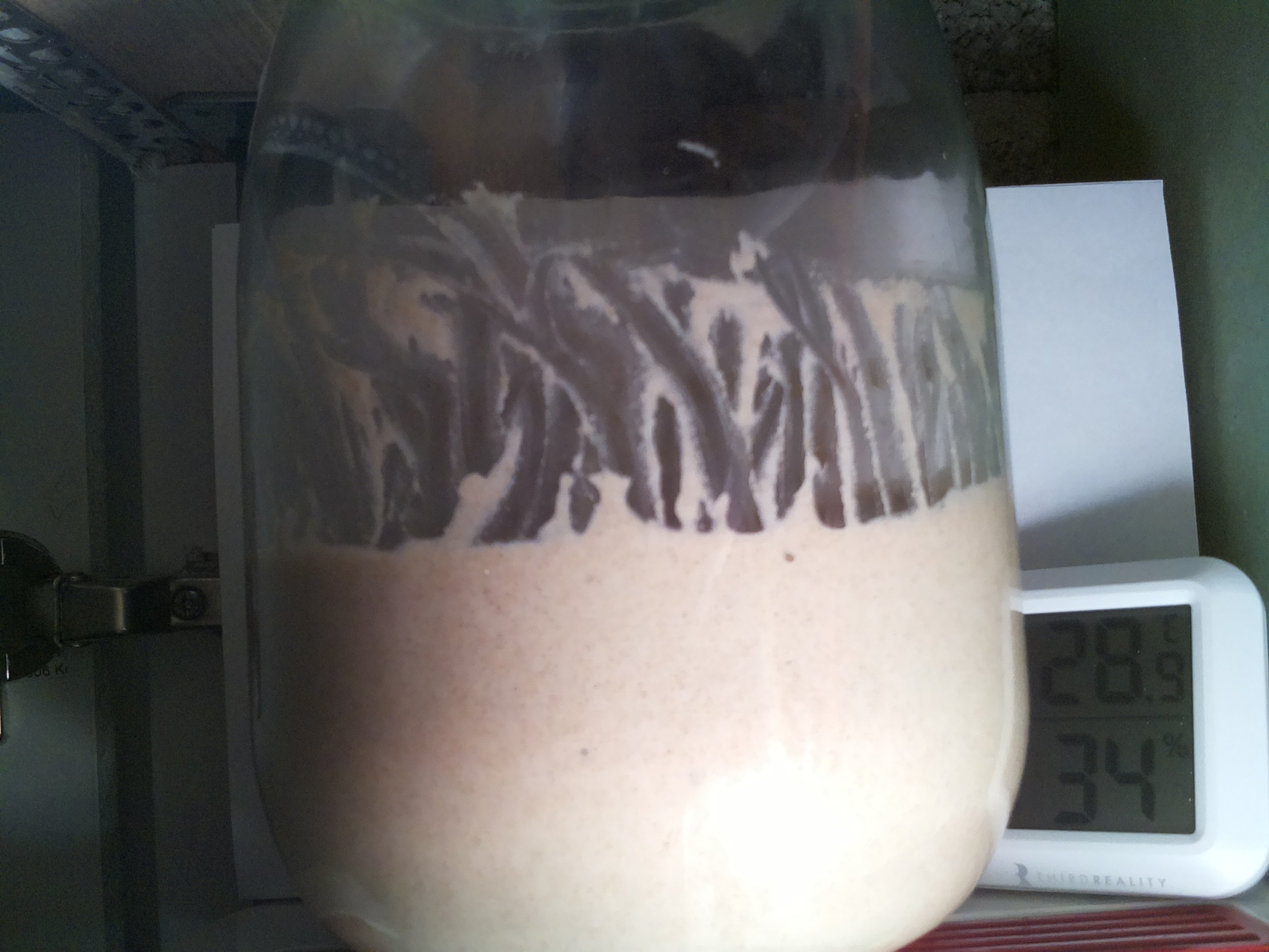 Bild vom Sauerteig