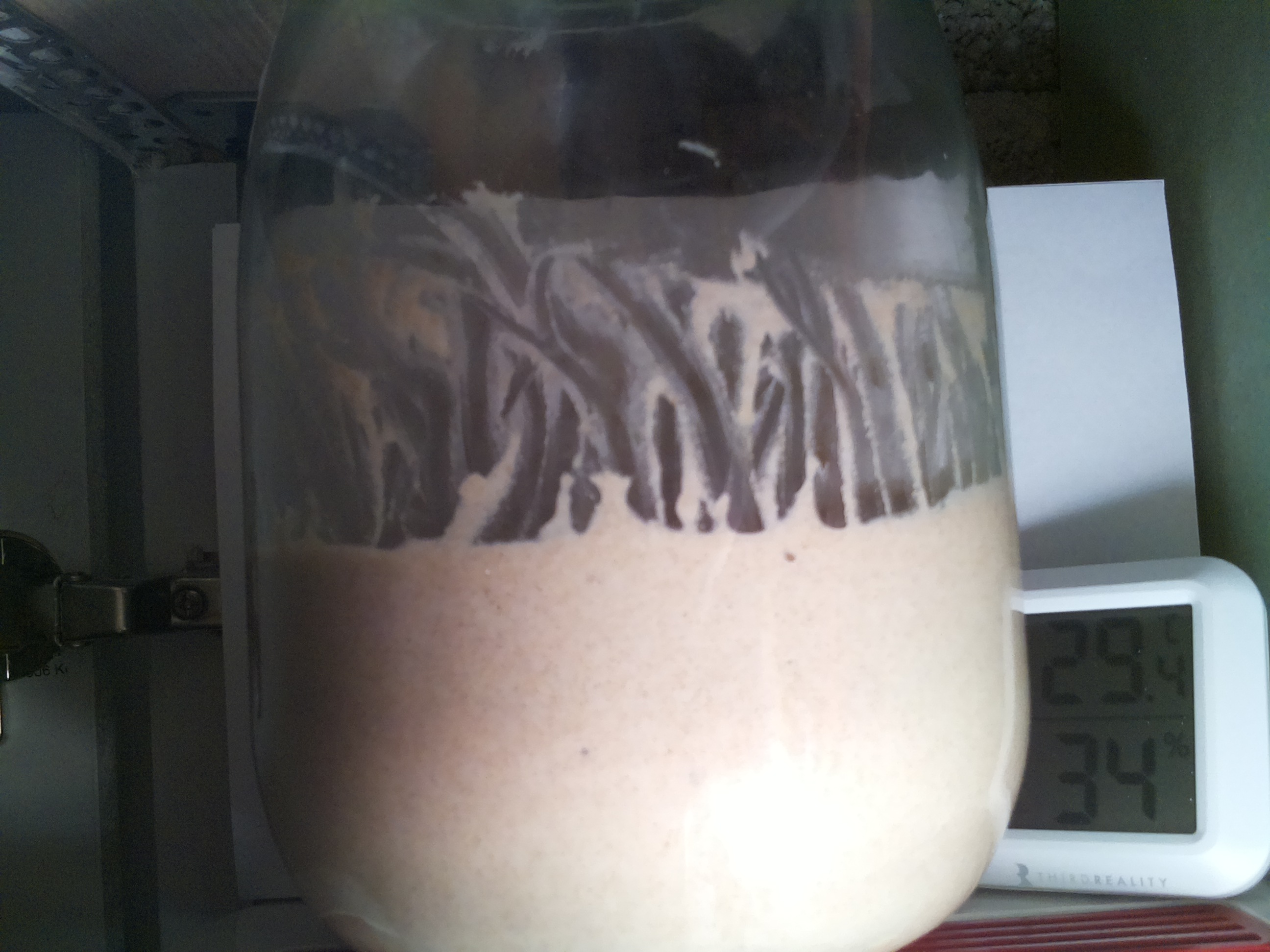 Bild vom Sauerteig