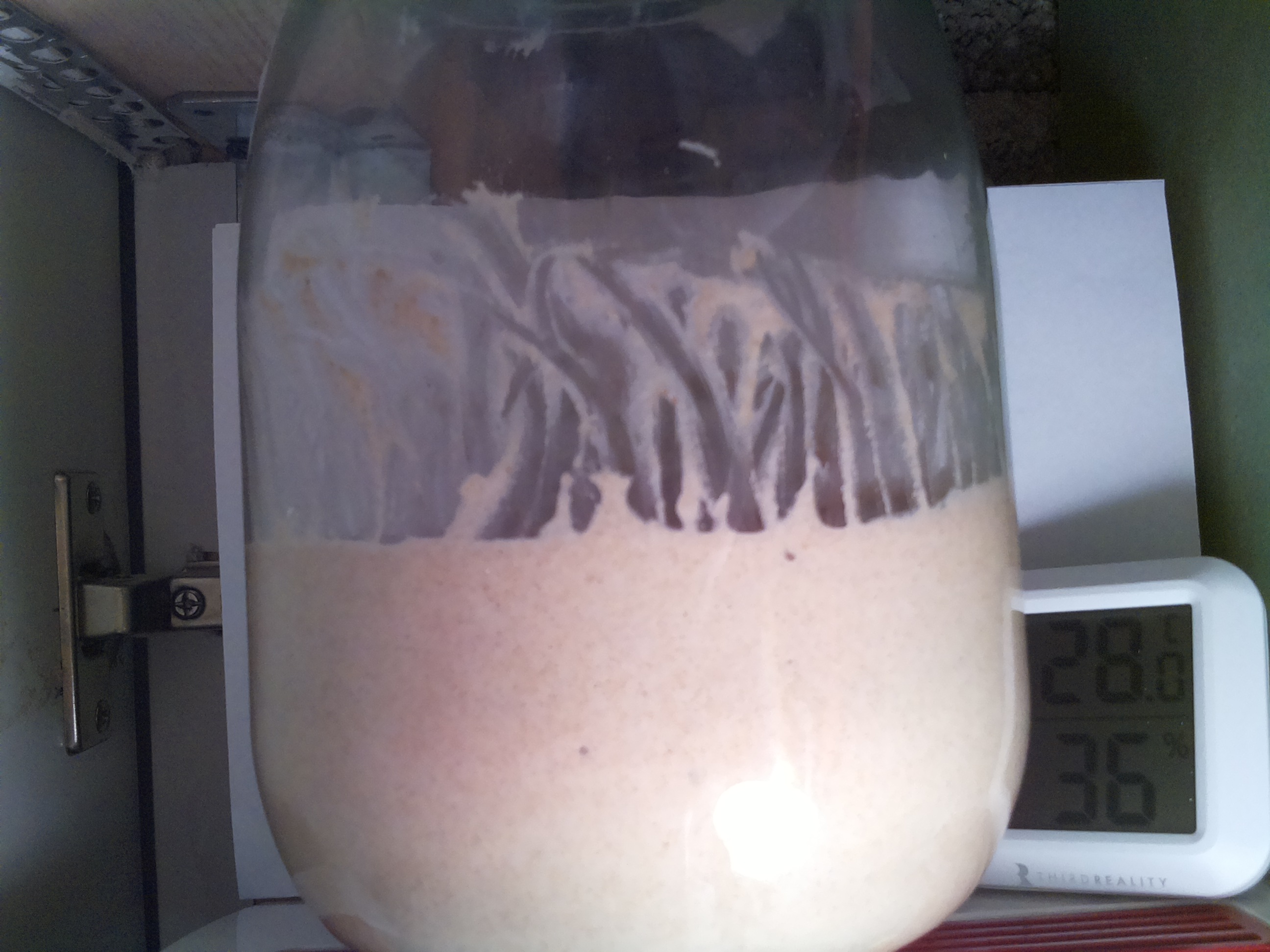 Bild vom Sauerteig