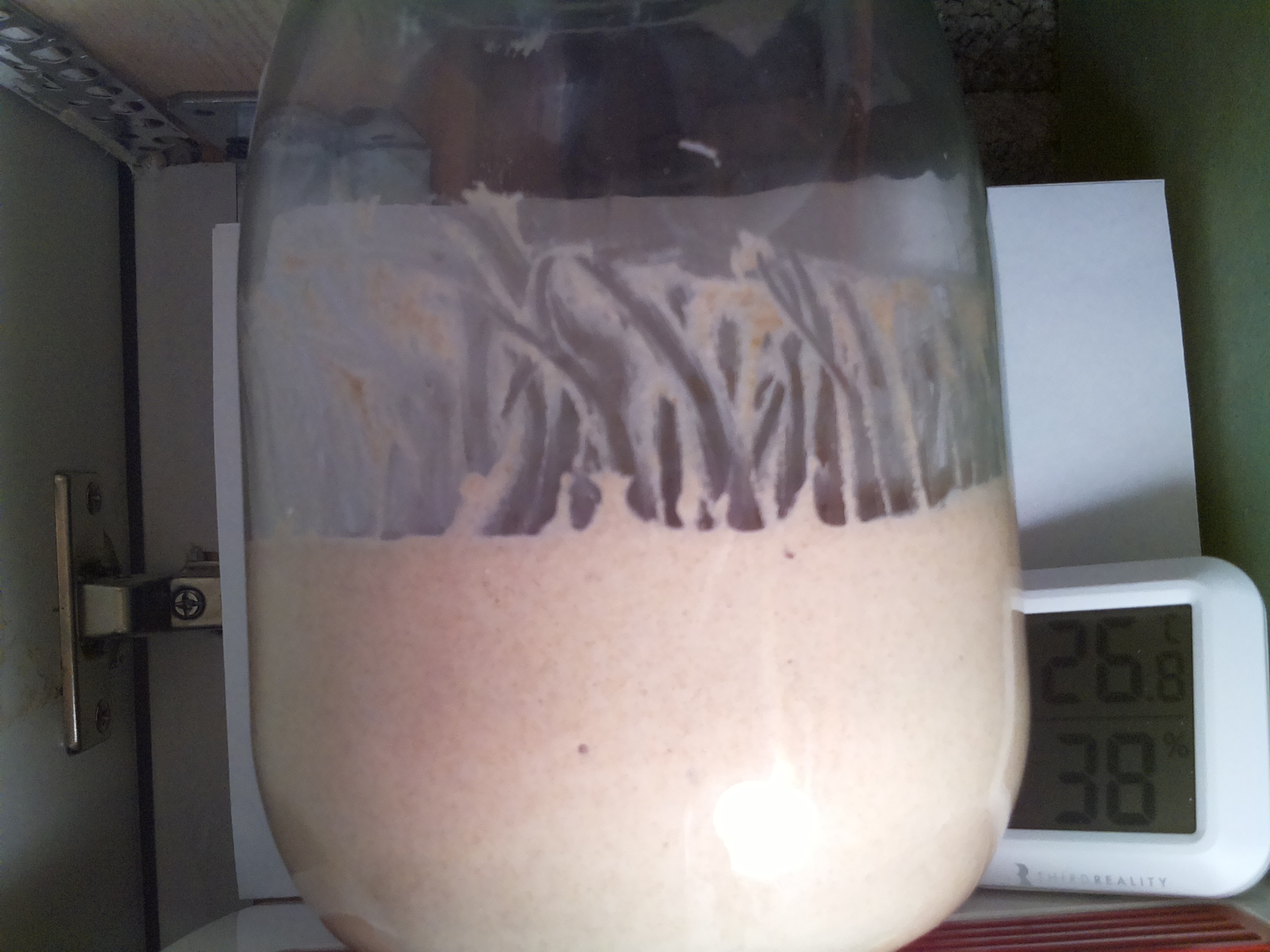 Bild vom Sauerteig