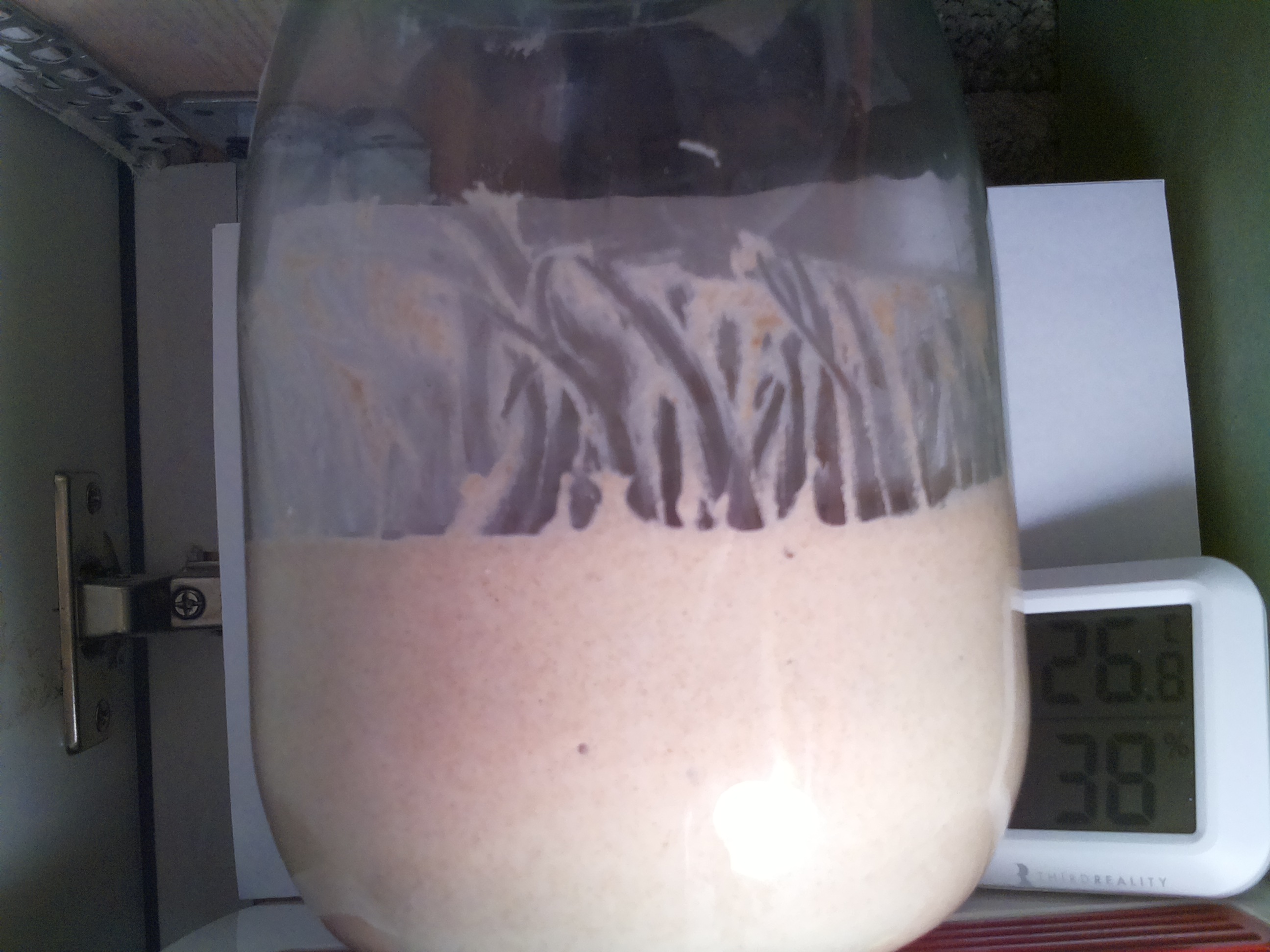 Bild vom Sauerteig