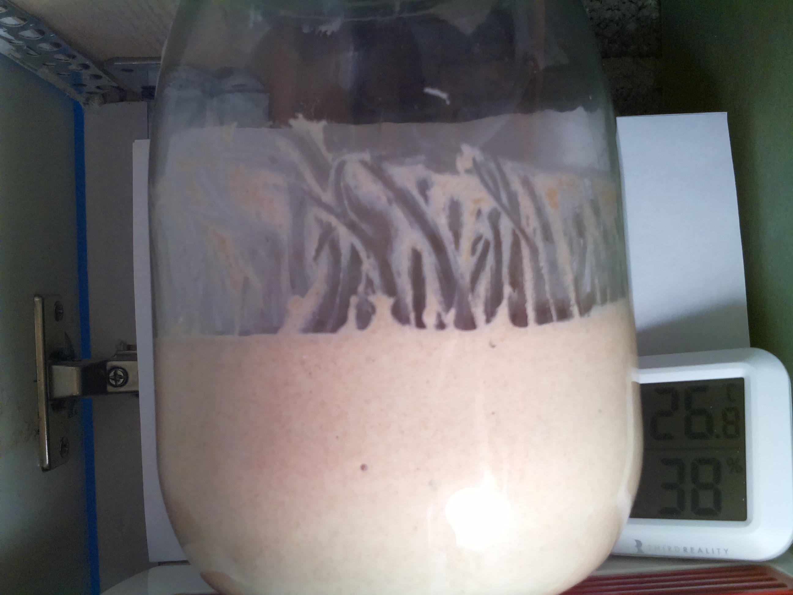 Bild vom Sauerteig