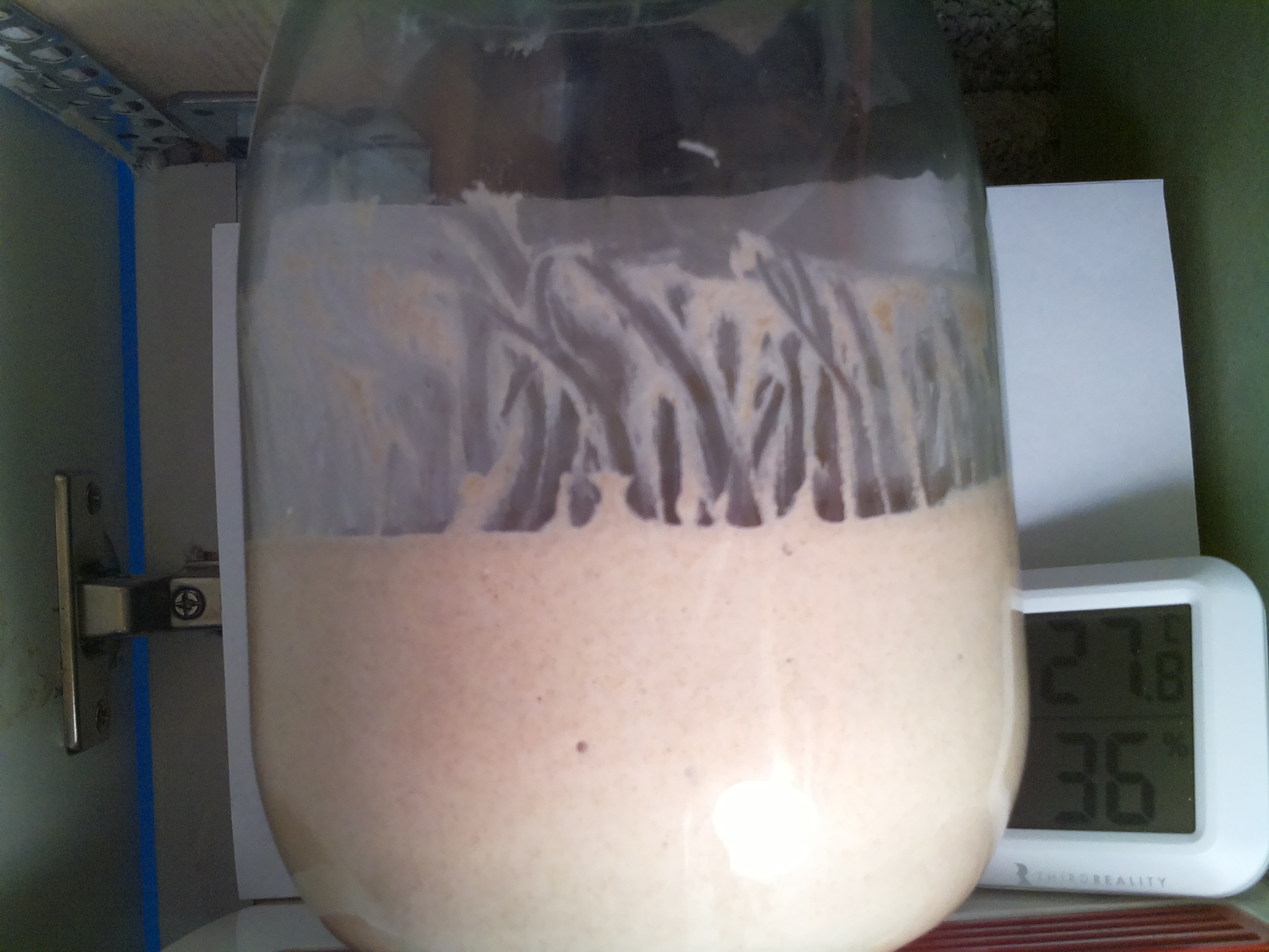 Bild vom Sauerteig