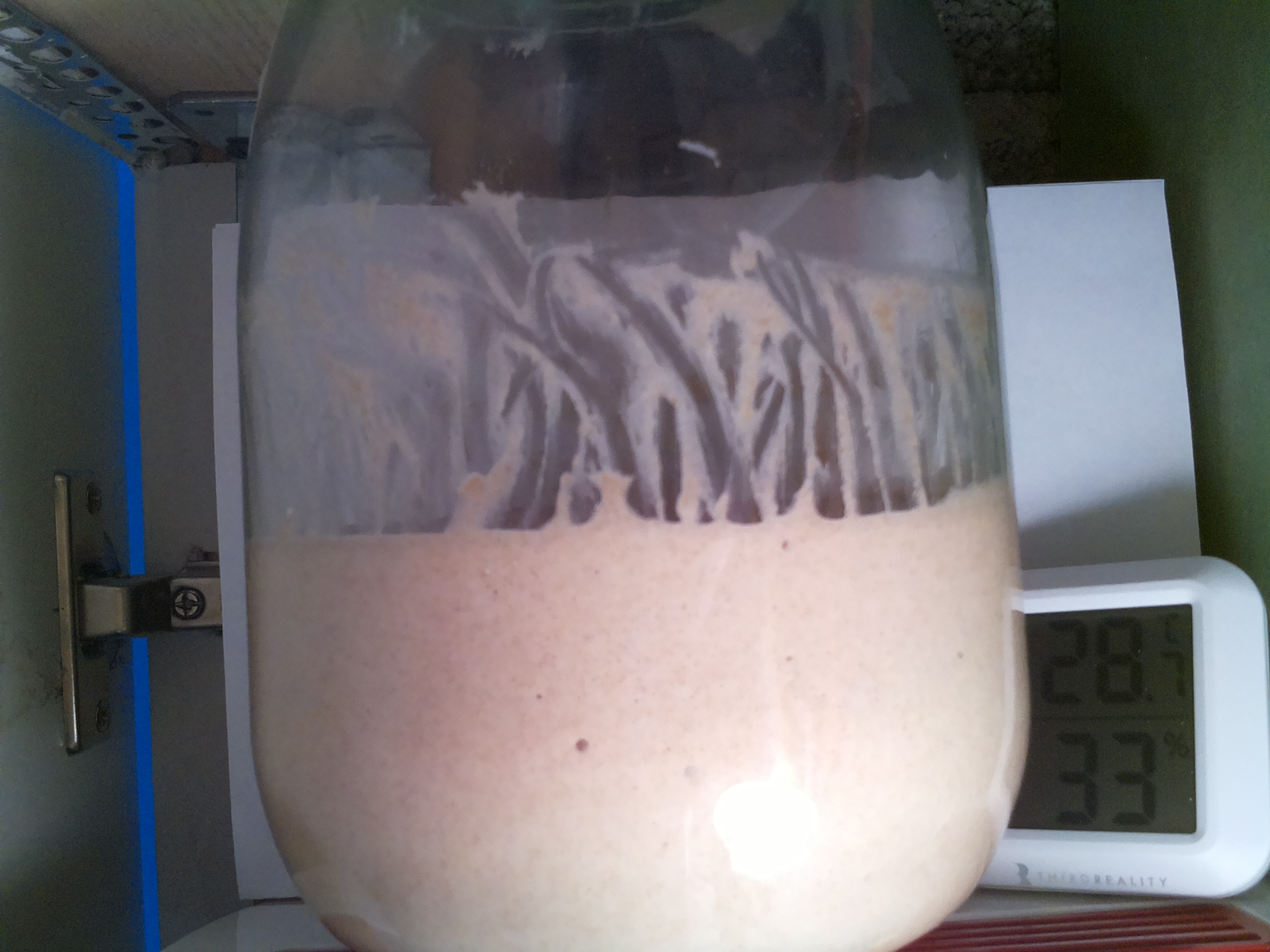 Bild vom Sauerteig