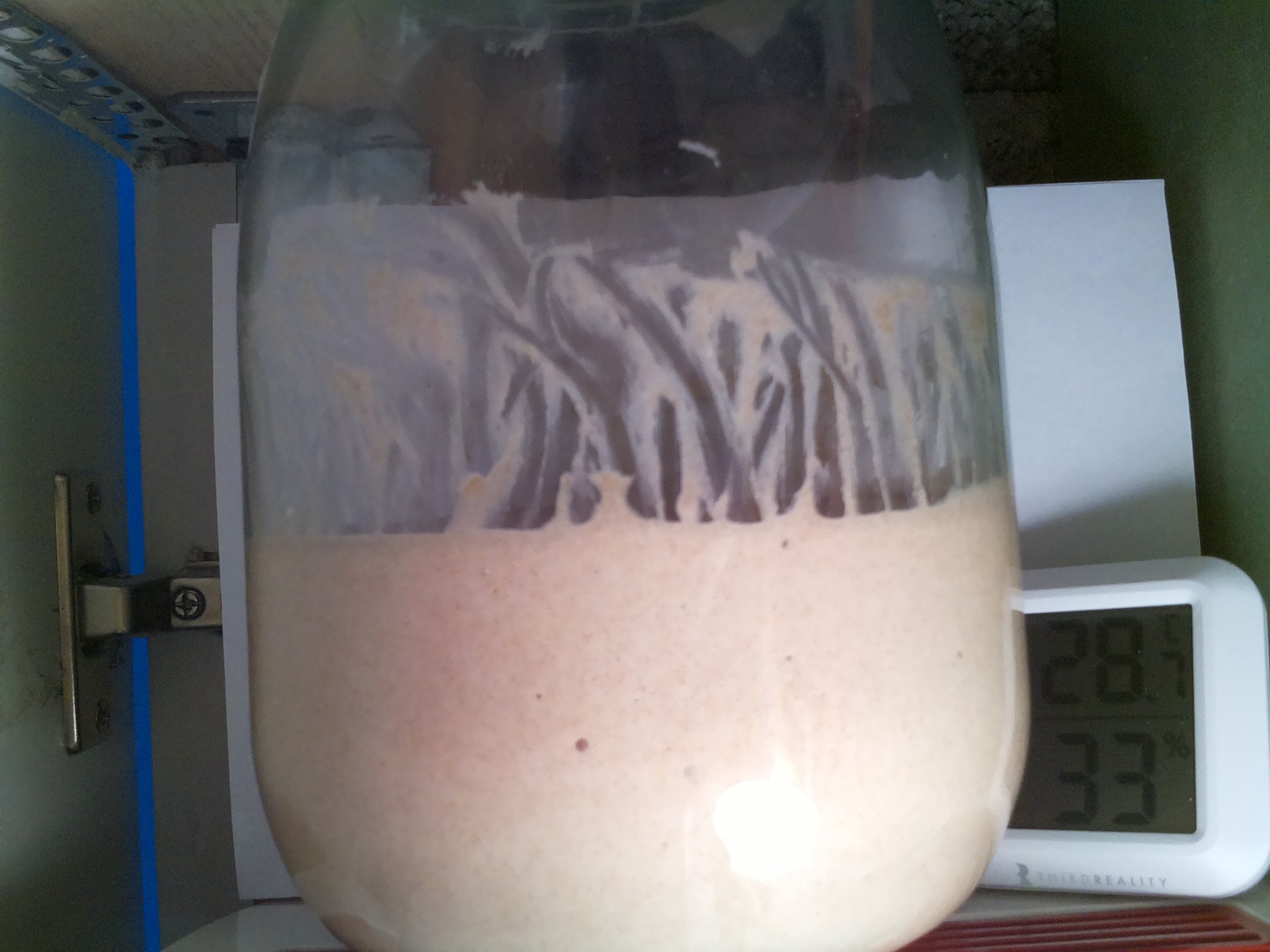 Bild vom Sauerteig