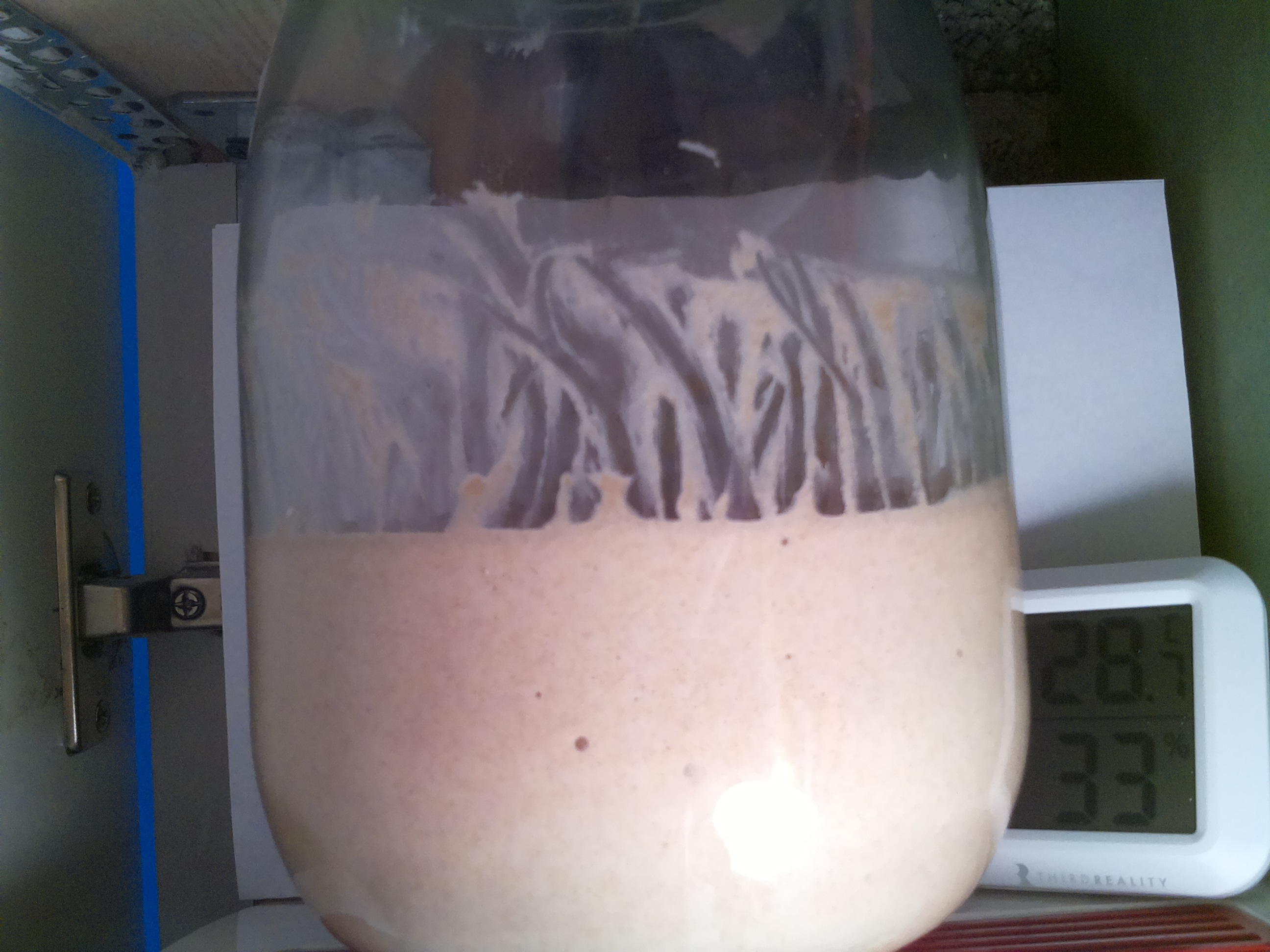 Bild vom Sauerteig