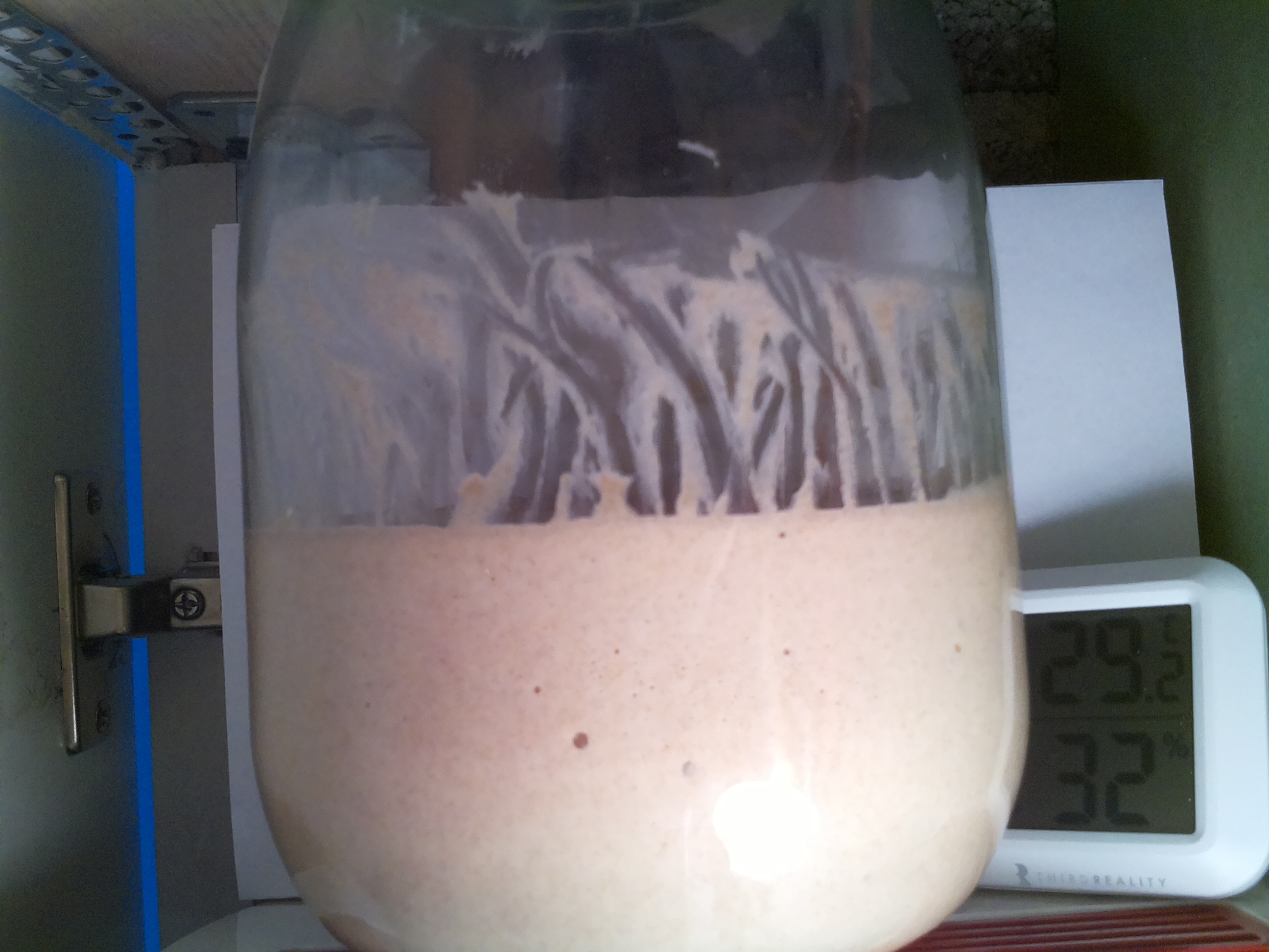 Bild vom Sauerteig