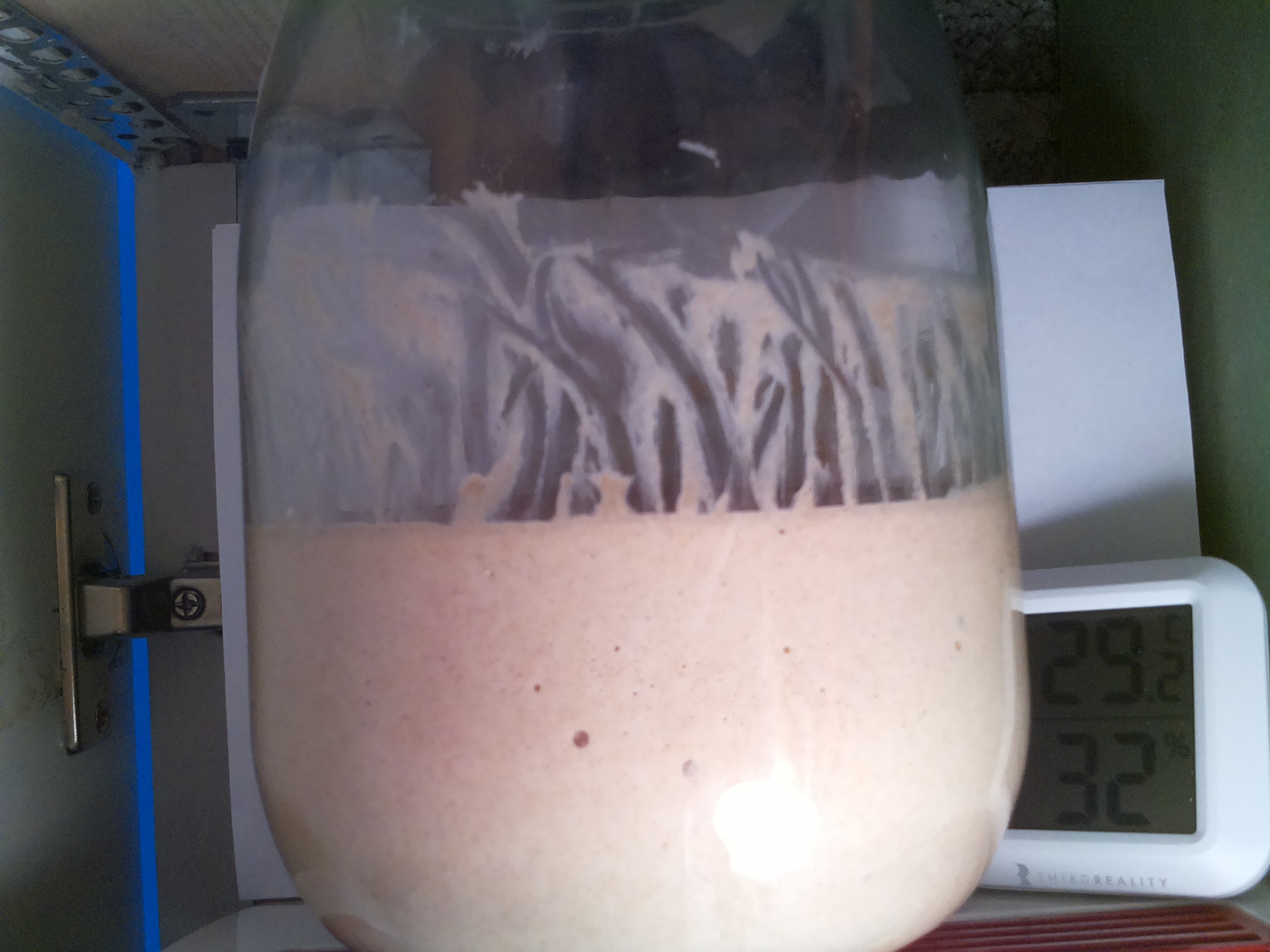 Bild vom Sauerteig