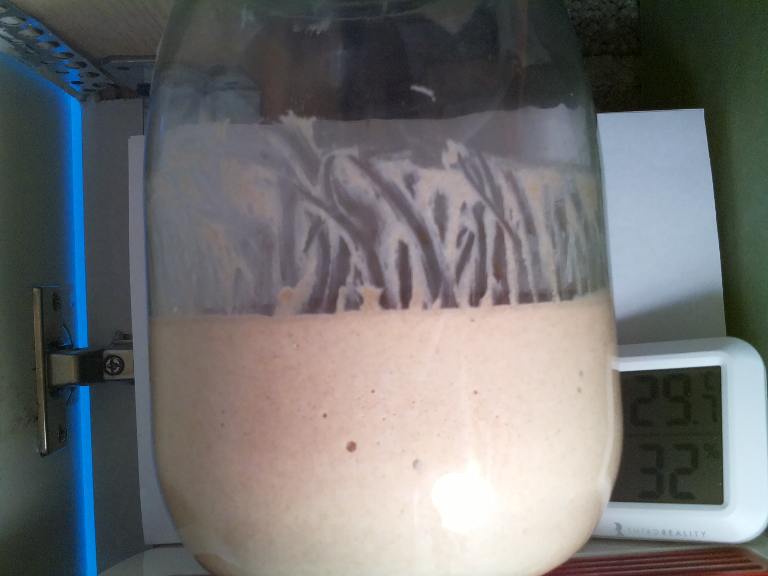 Bild vom Sauerteig