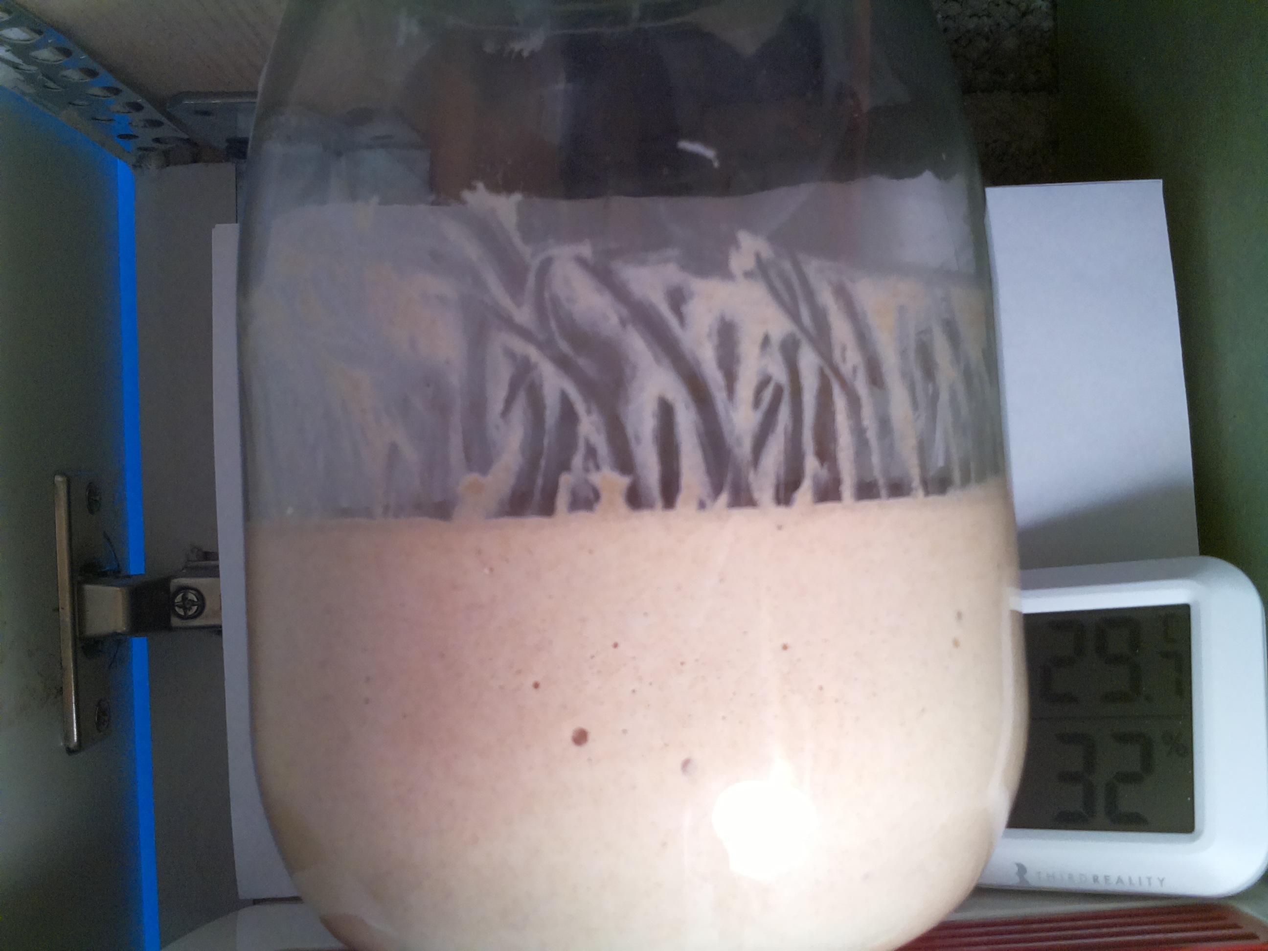 Bild vom Sauerteig